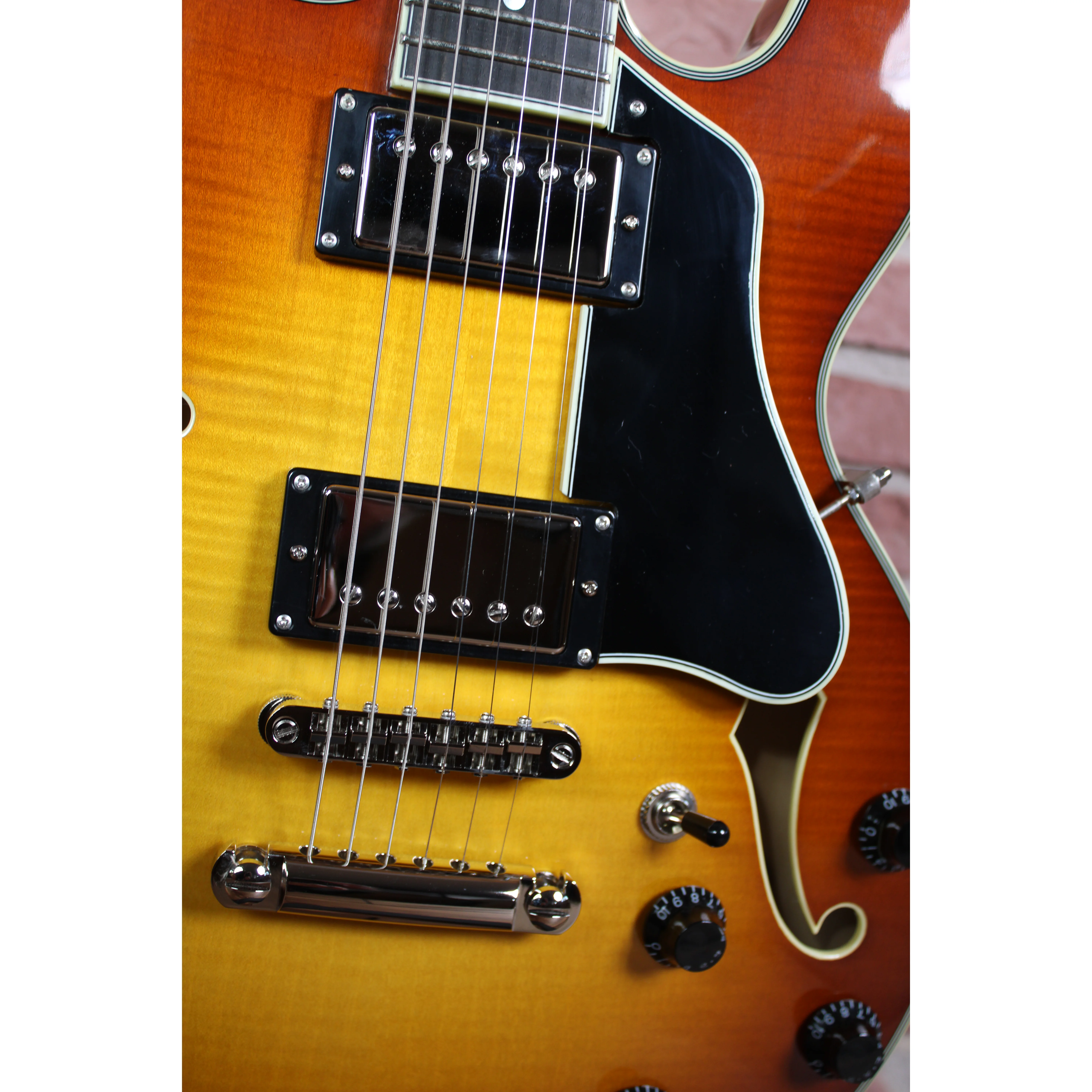 Eastman T484 mit Ebenholzgriffbrett und Bone Nut