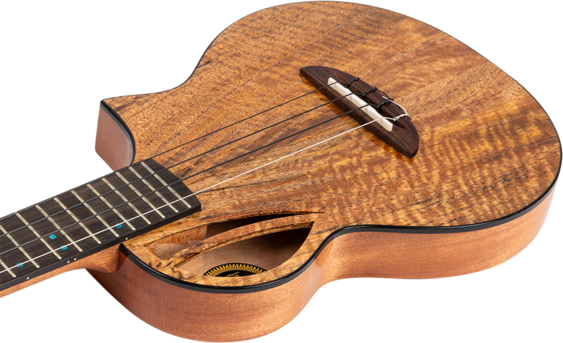 Aviator Mango Tenor CE