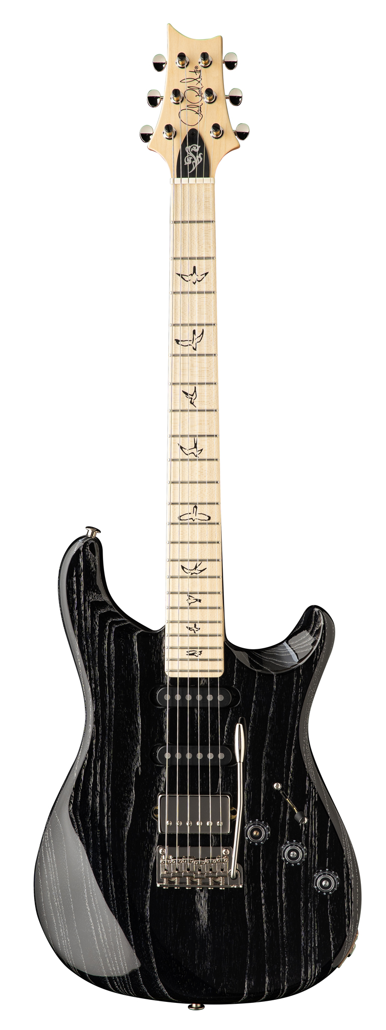 Fiore Mark Lettieri Signature - Black Doghair HSS