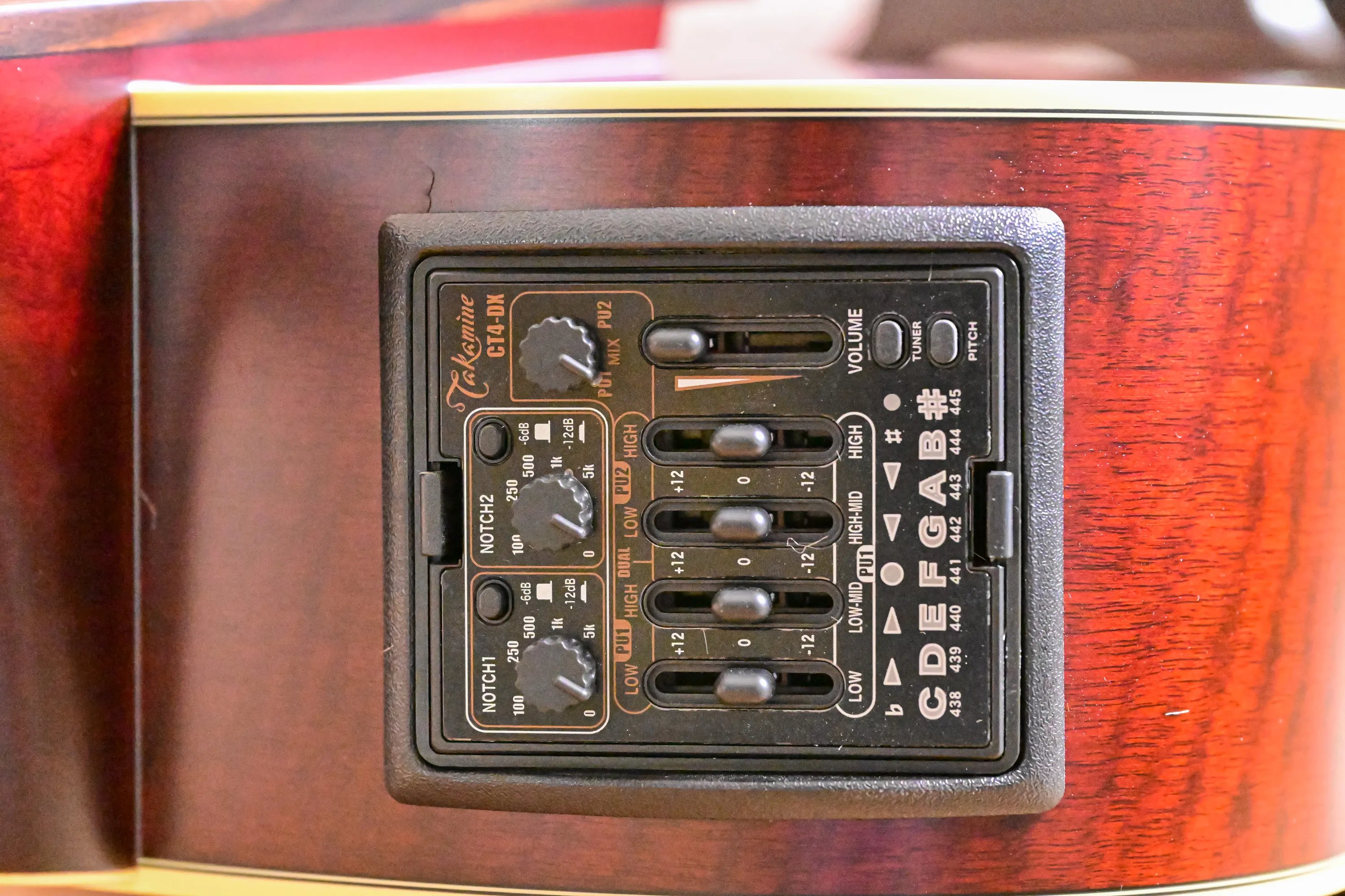 TB10 Fretless Akustik Bass