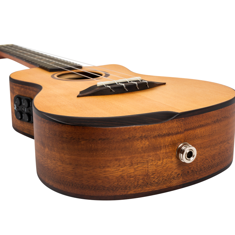 Victoria Soundwave Concert Ukulele