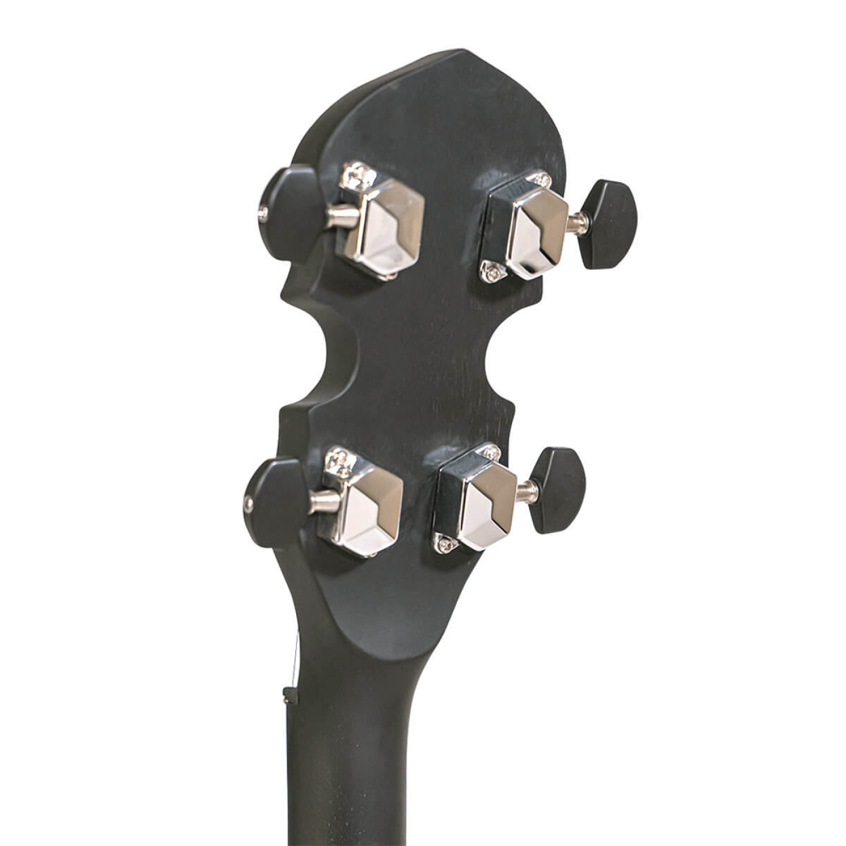 AC-4 Tenor Banjo