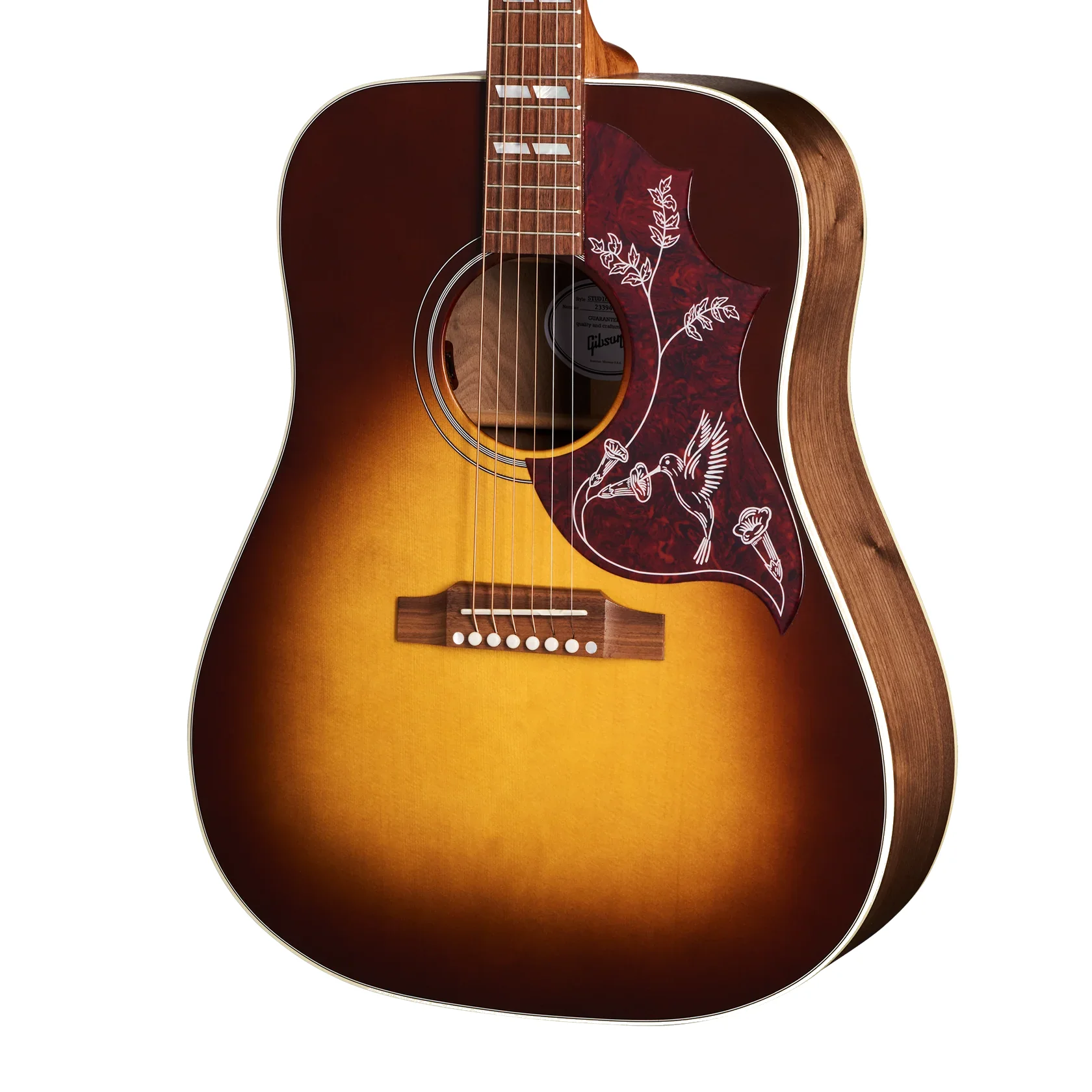 Hummingbird Studio Walnut  Burst