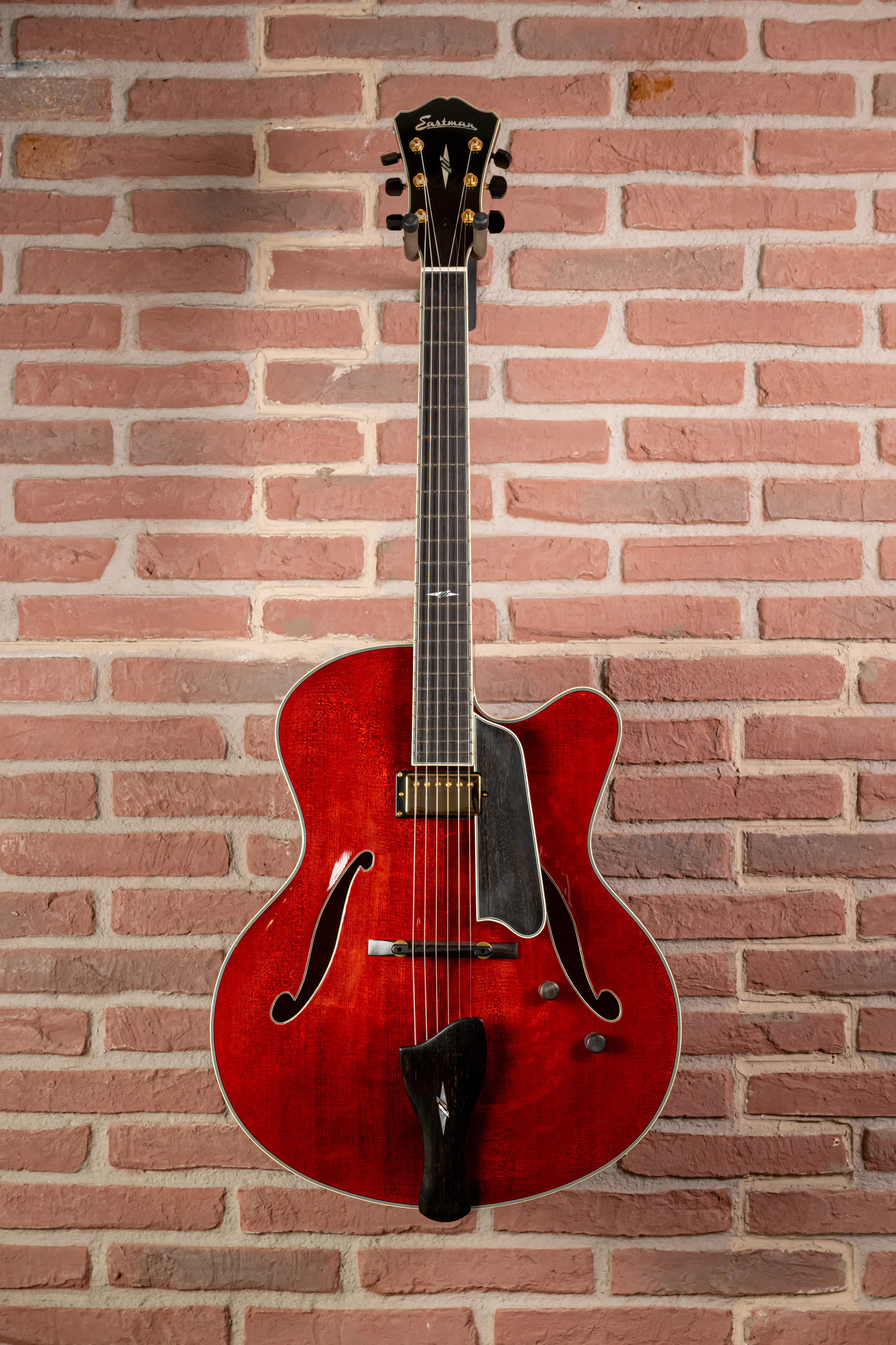 AR810CE Archtop Jazzgitarre