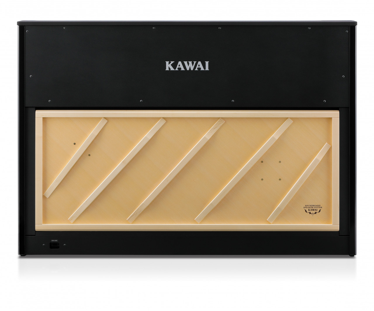 CA-901 EP Digitalpiano Schwarz Poliert