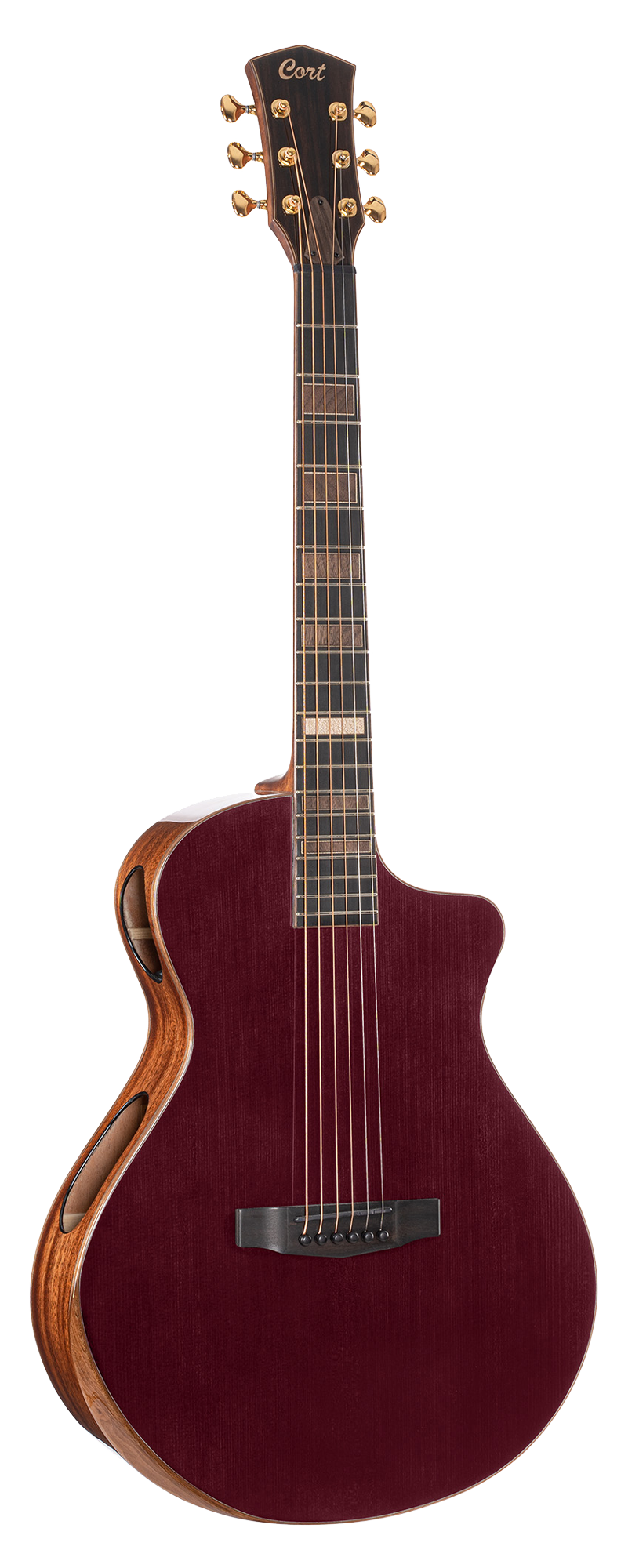 Modern Black Ltd Trans Burgundy  Gloss