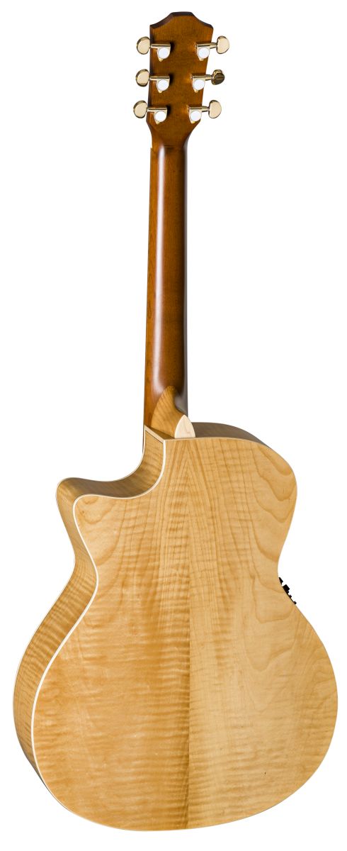 TLM/ACEC Flamed Maple