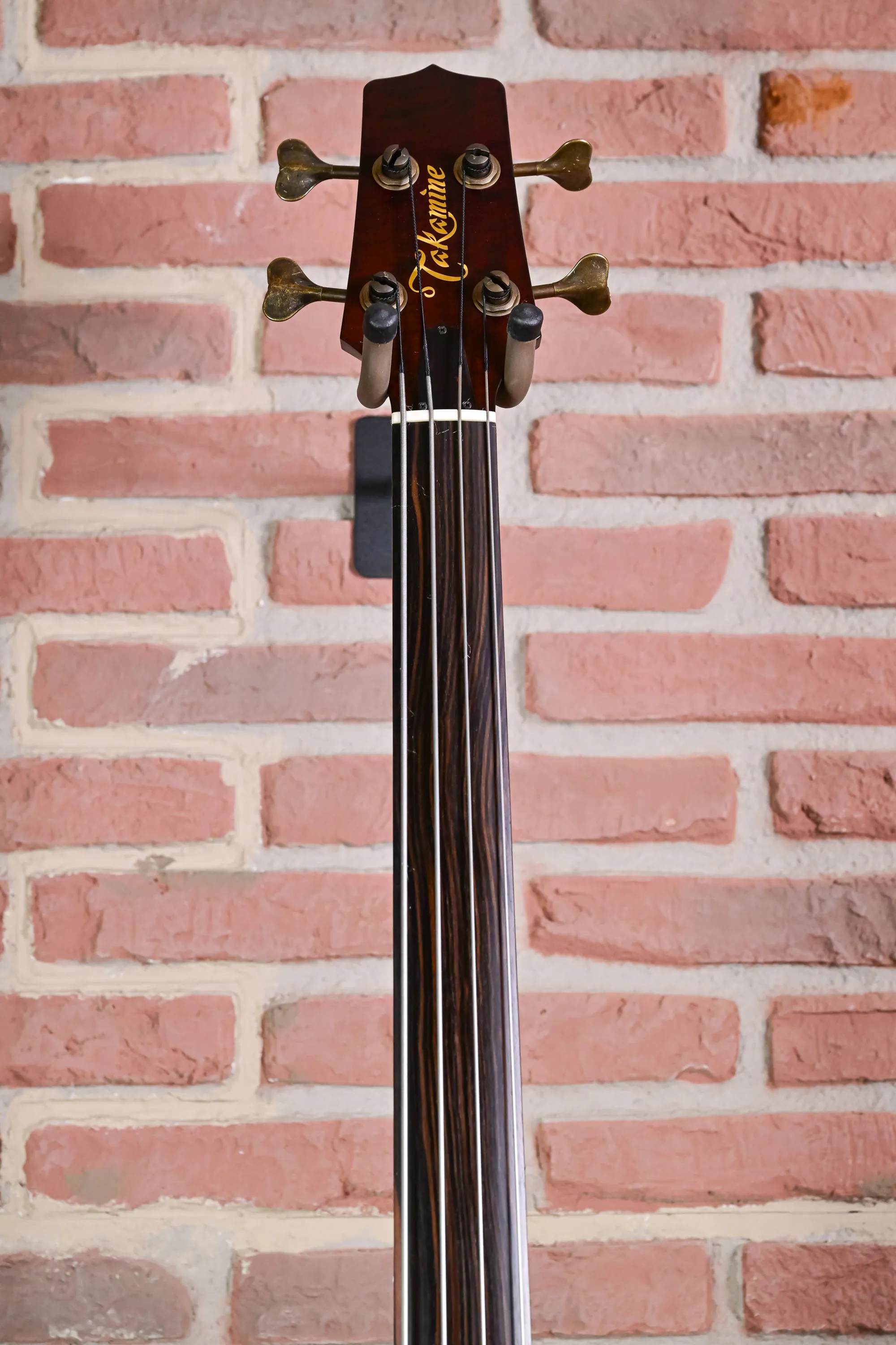 TB10 Fretless Akustik Bass