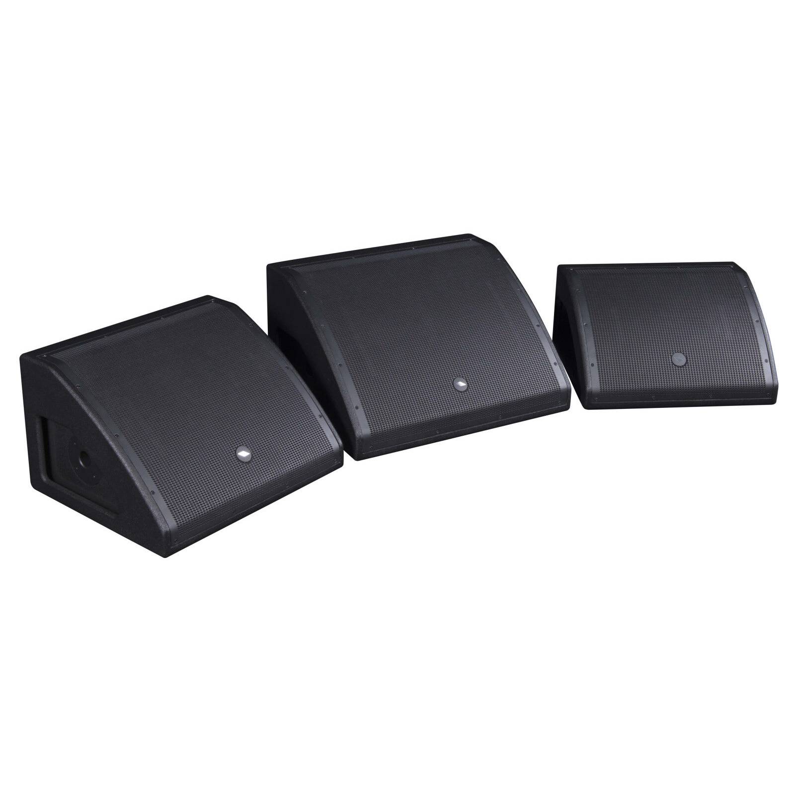 WD10AV2 - Aktiver 2-Wege Stagemonitor
