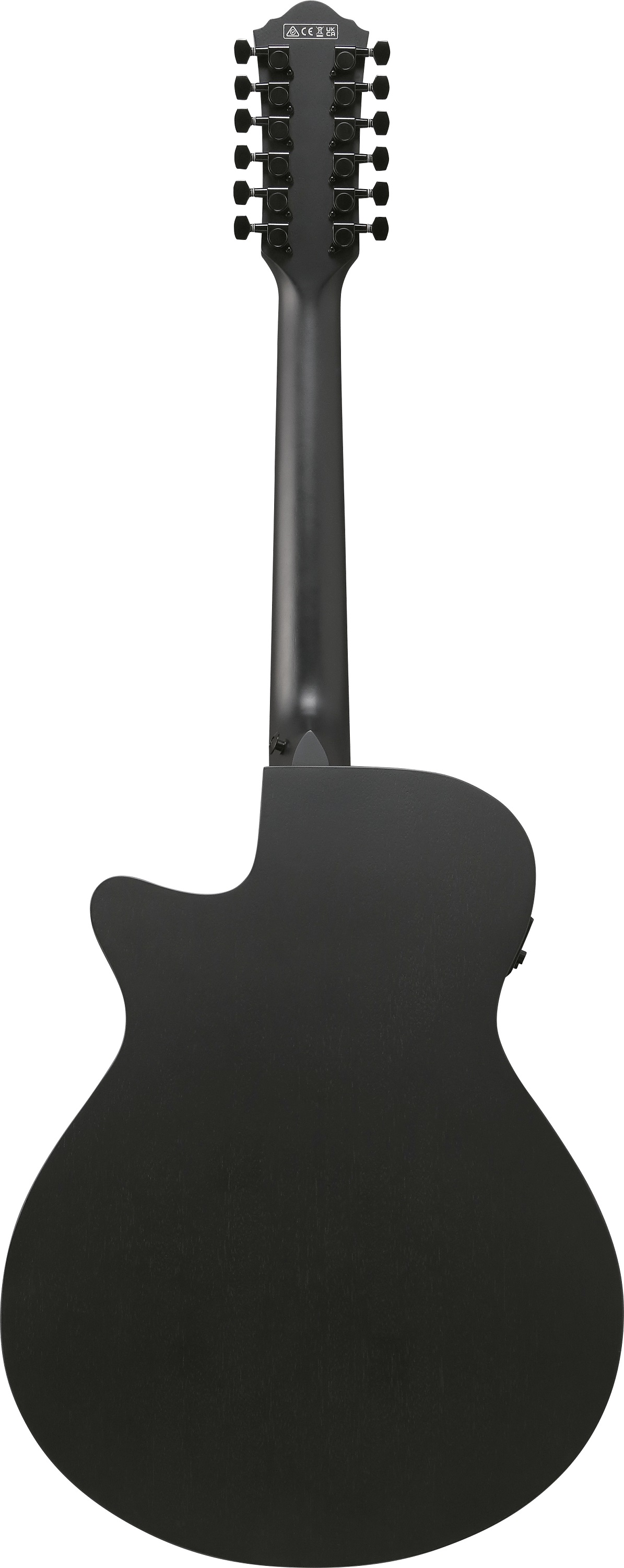 AEG1221-BOT 12-Saiter Westerngitarre