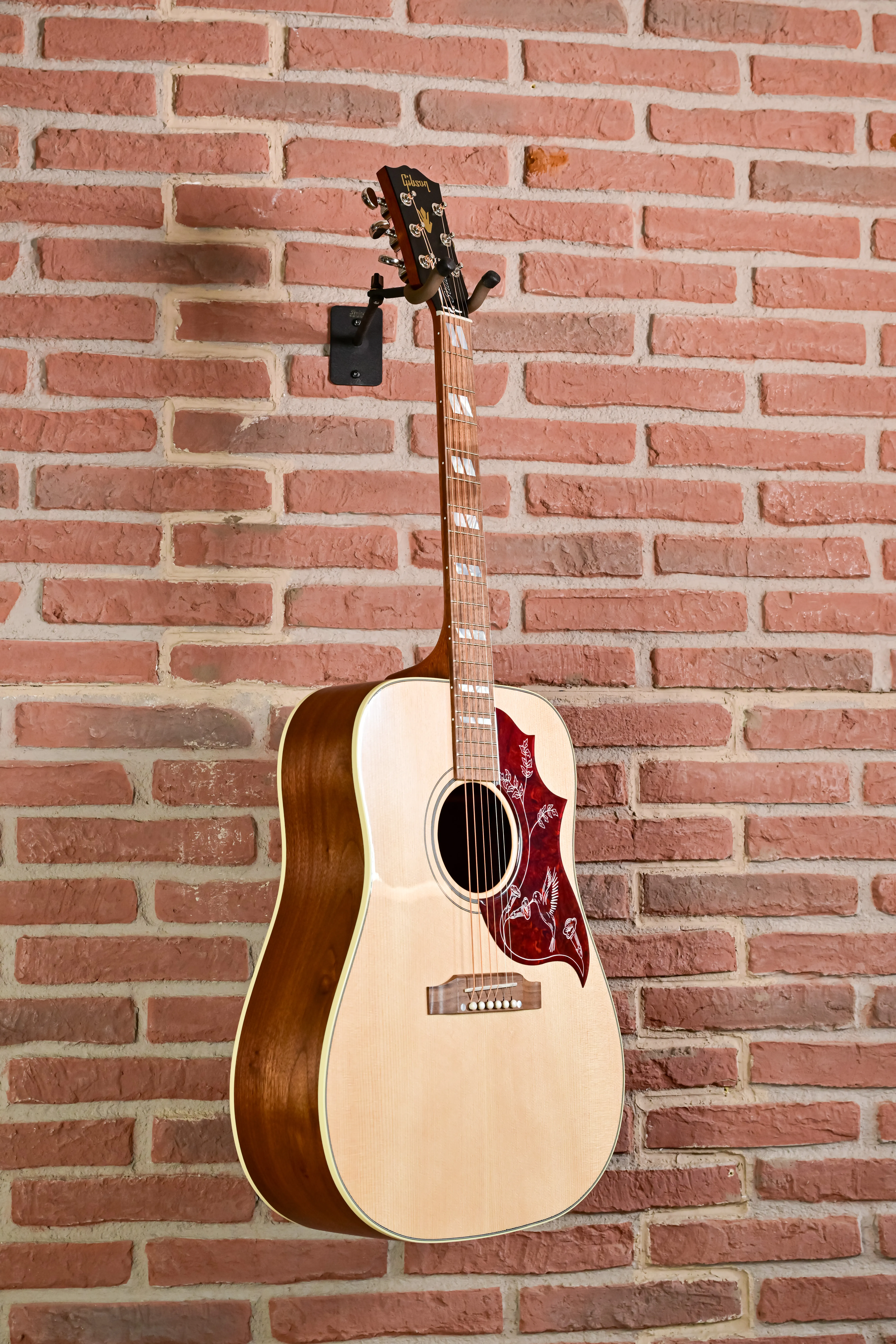 Hummingbird Studio Walnut  Natural