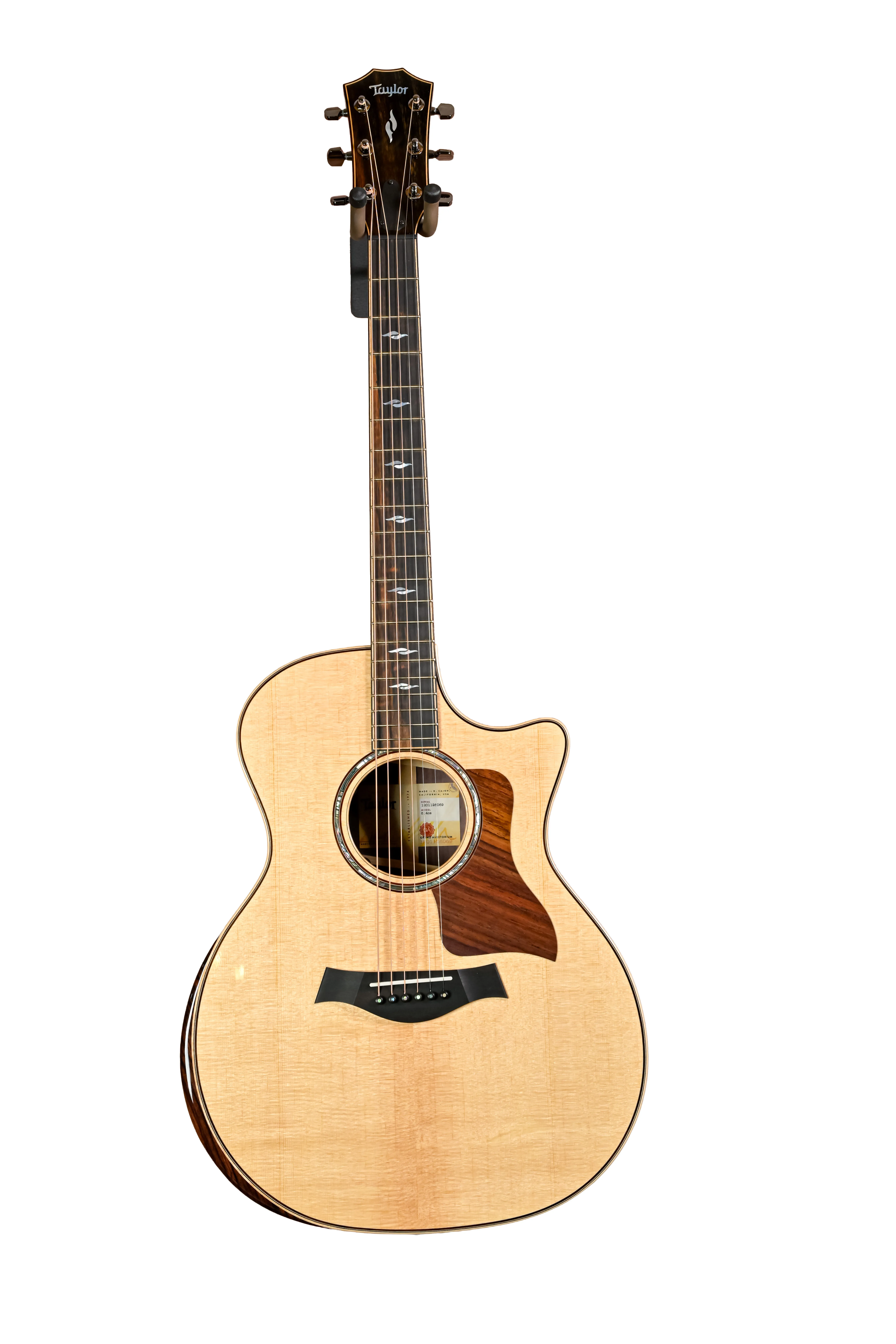Taylor 814ce Akustikgitarre Gesamtansicht von vorne