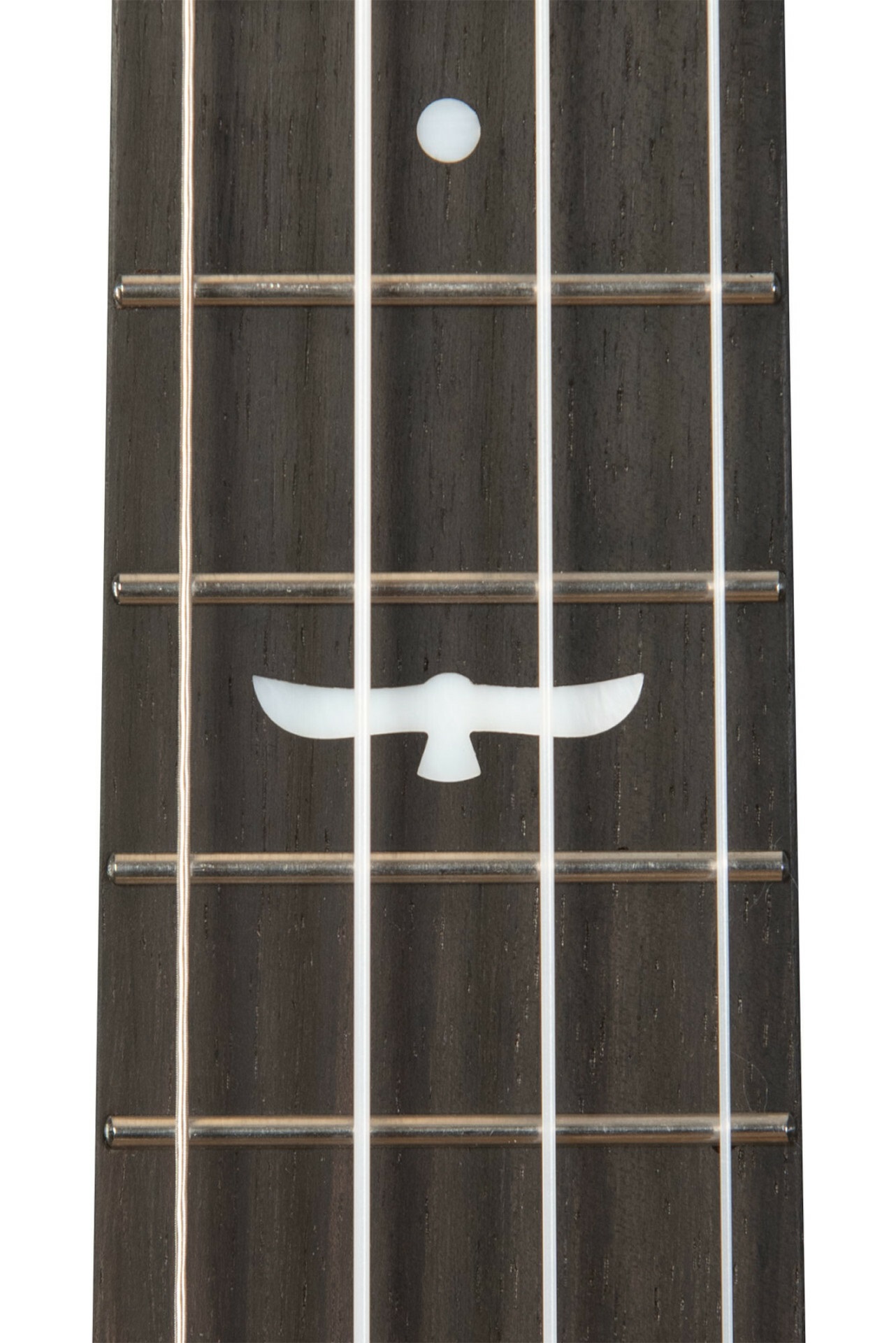 KA-OWL-ACA-TE Tenor Ukulele Revelator Night Owl Acacia
