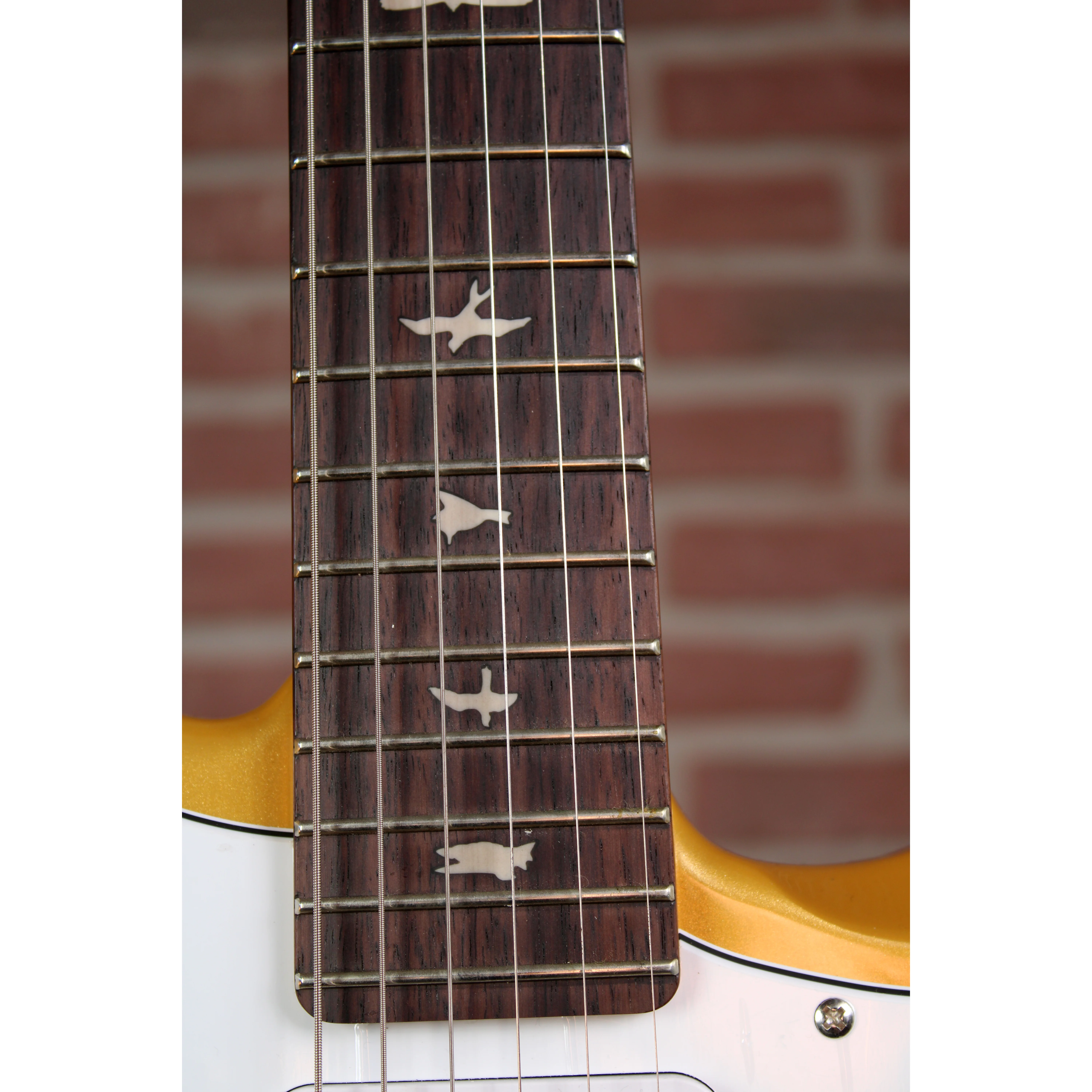SE John Mayer Silver Sky Gold Spark Limited Edition