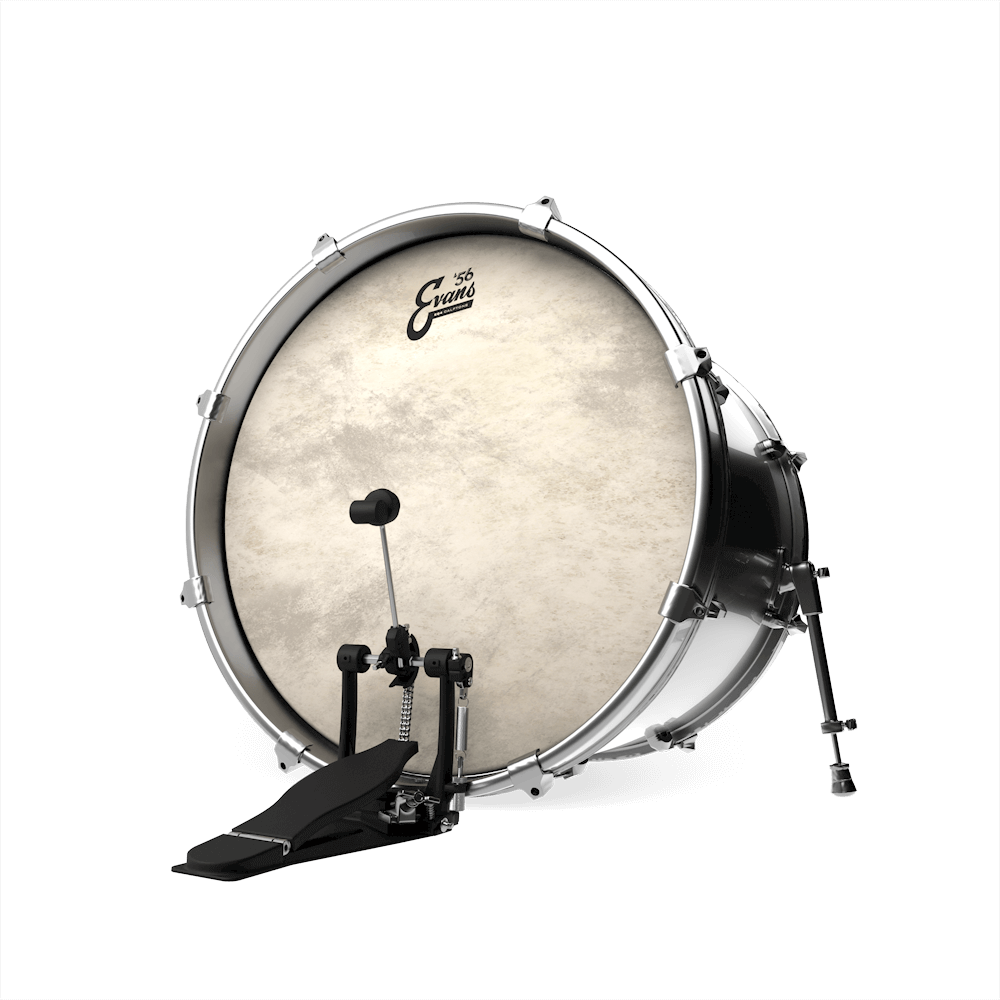20" EQ4 Calftone - Bass Drum Fell