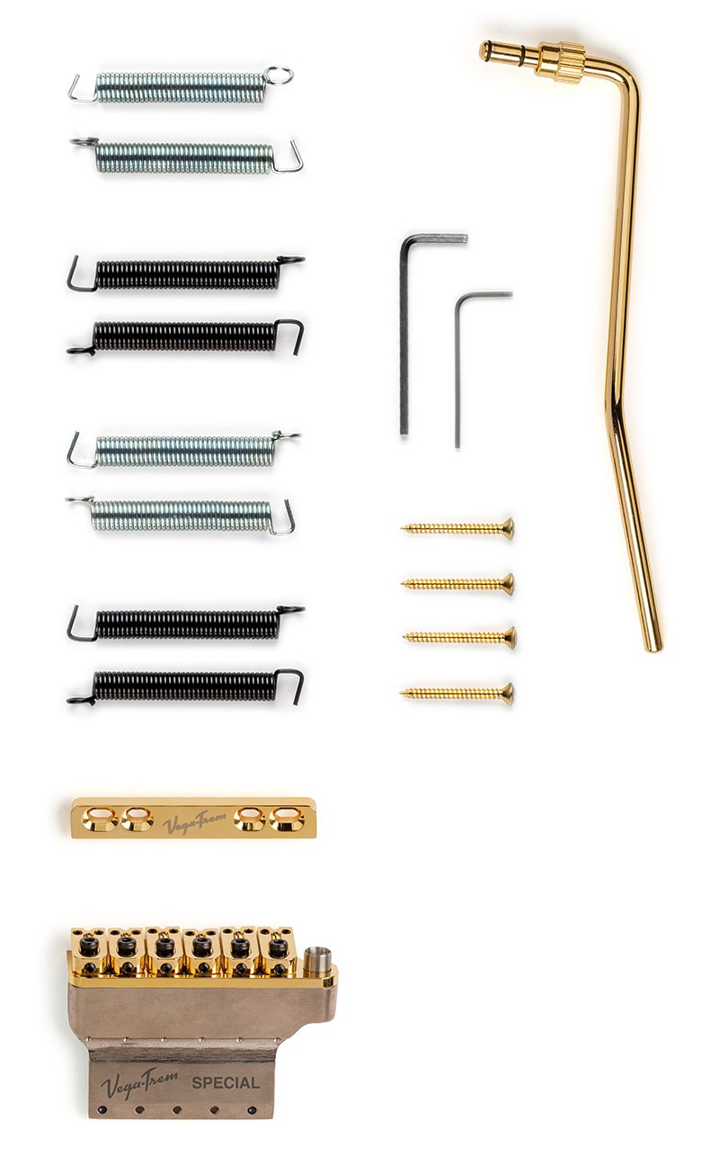 VT1 Special Standard  Gold