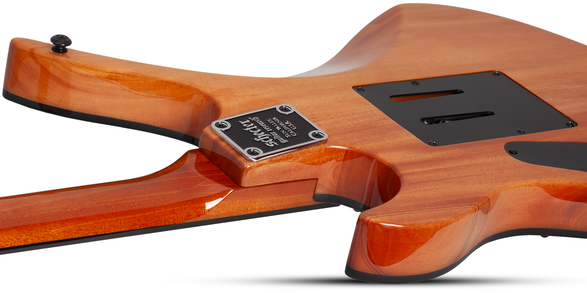 Signature Synyster Standard Plus FR Gloss Natural E-Gitarre