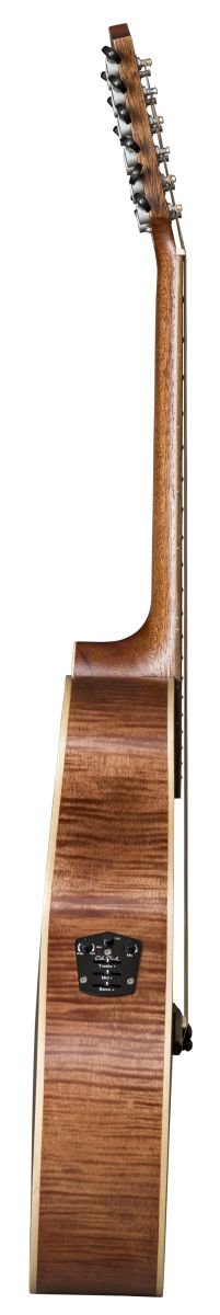 AR61S/ACEC-12 Westerngitarre