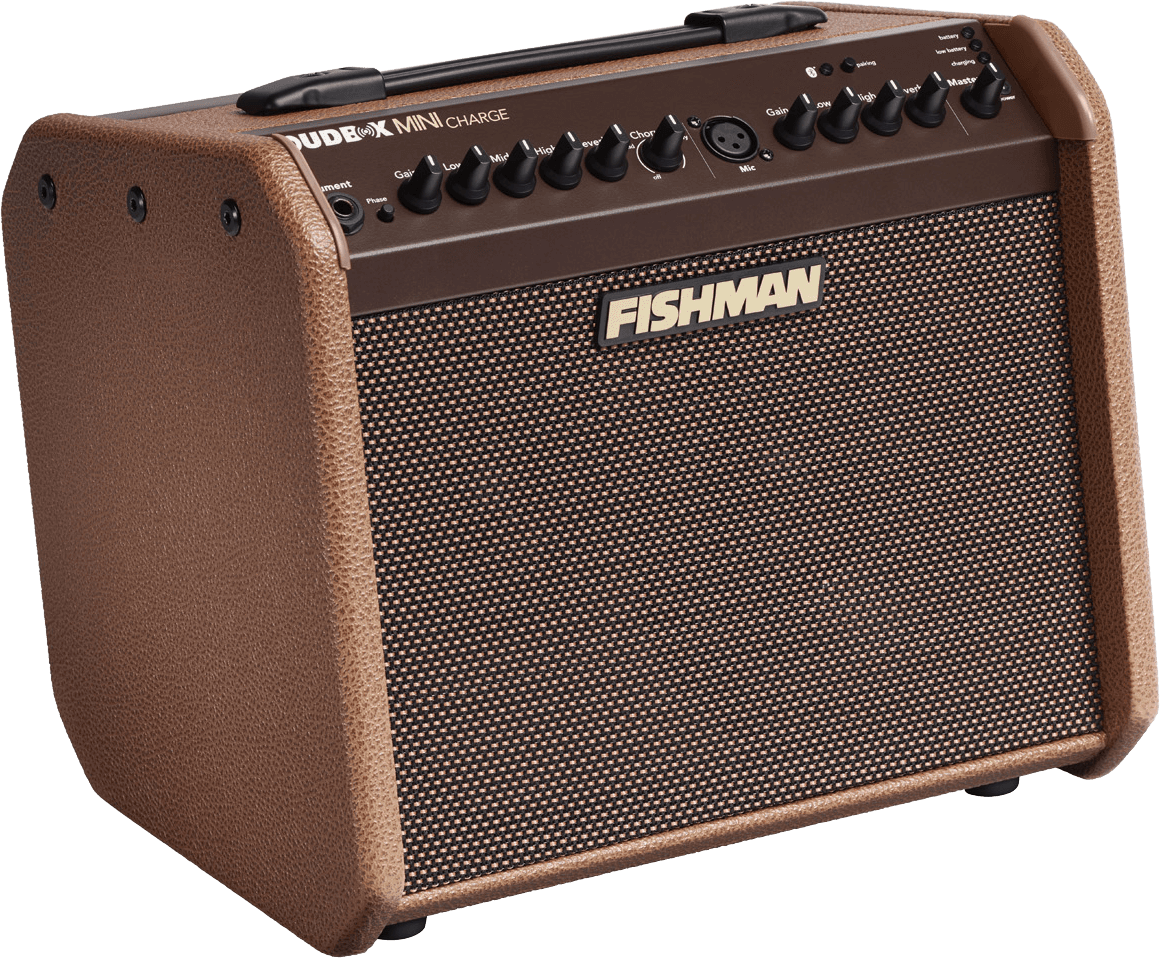 Loudbox Mini Charge Acoustic Amp