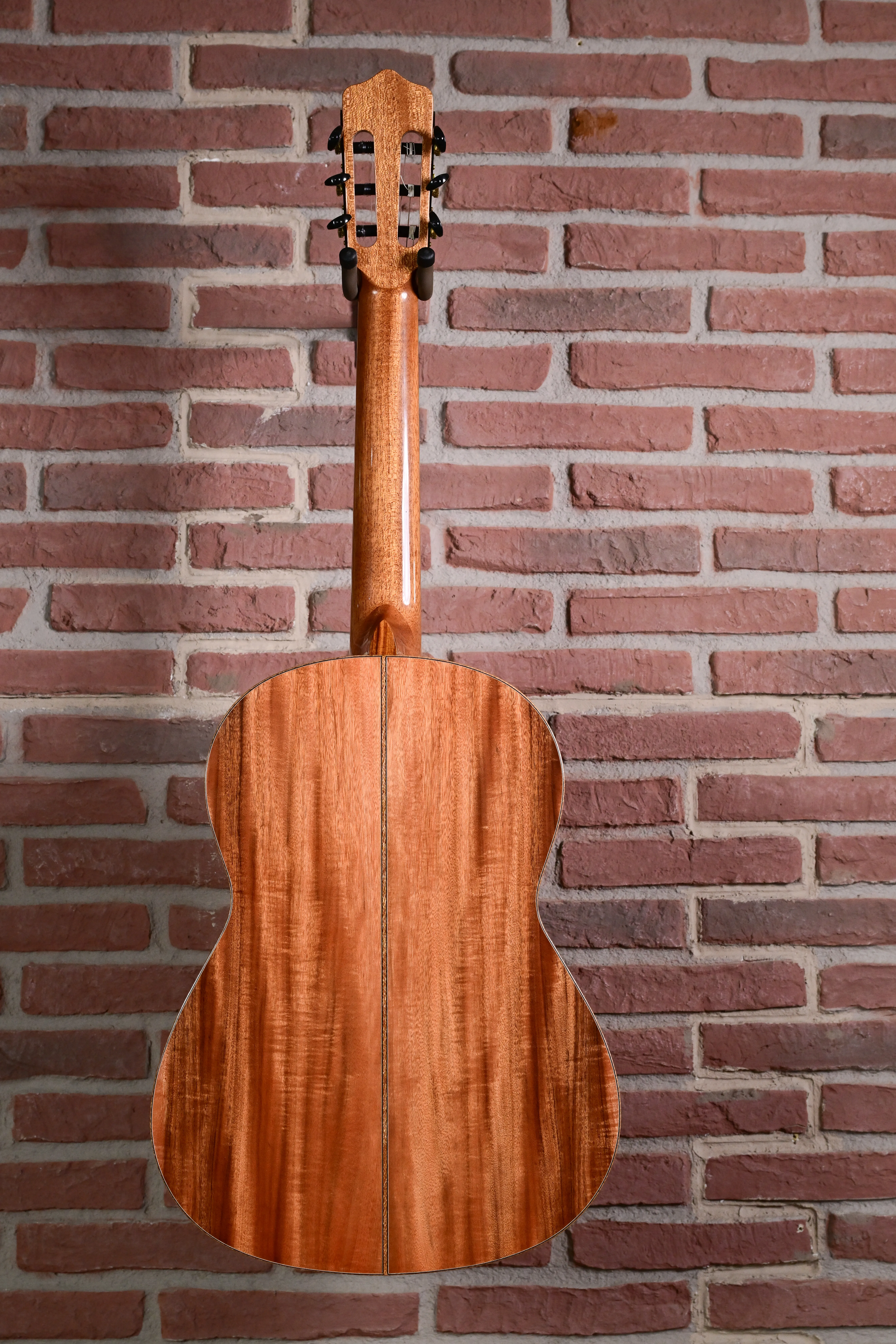 Rosa Artista RA Flamencogitarre