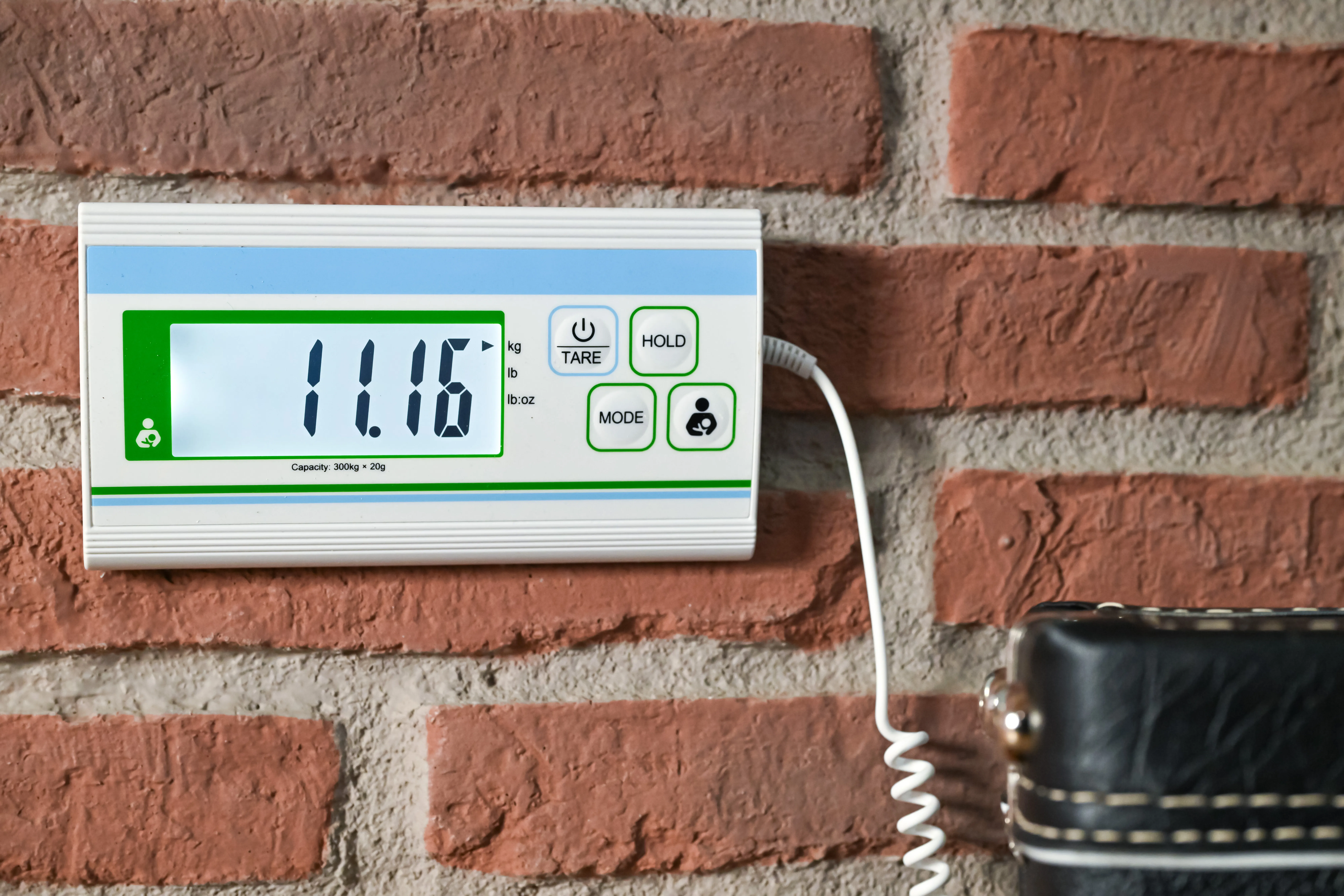 Mark Holcomb Holcomb Wraparound Burst