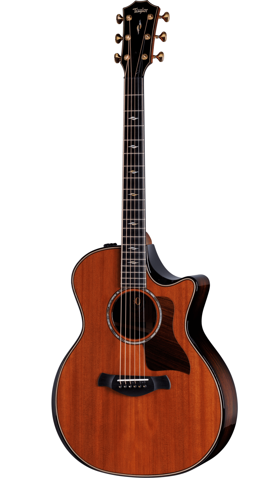 Builder's Edition 814ce 50th Anniversary