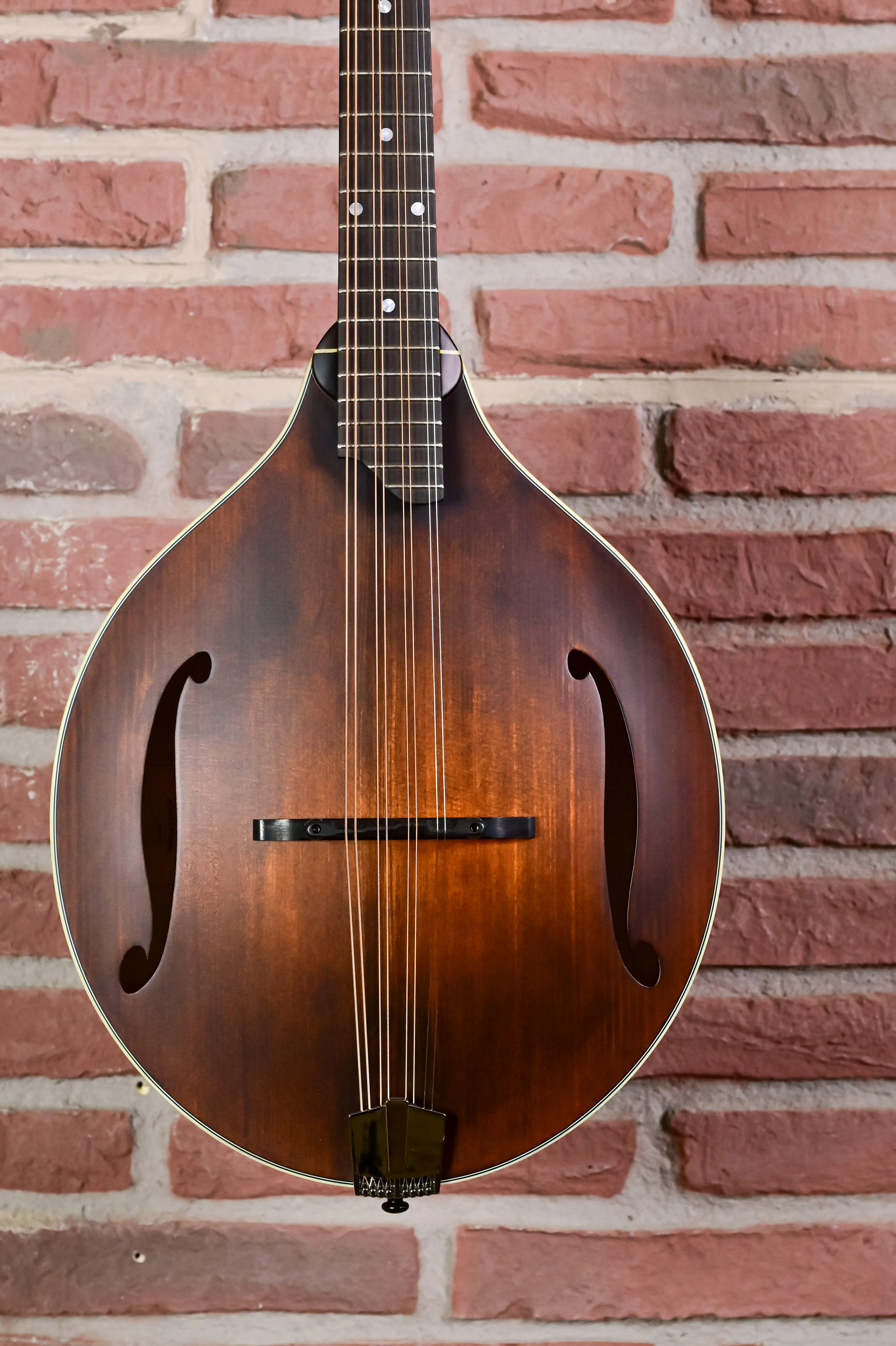 MDO305 Oktav-Mandoline A-Style