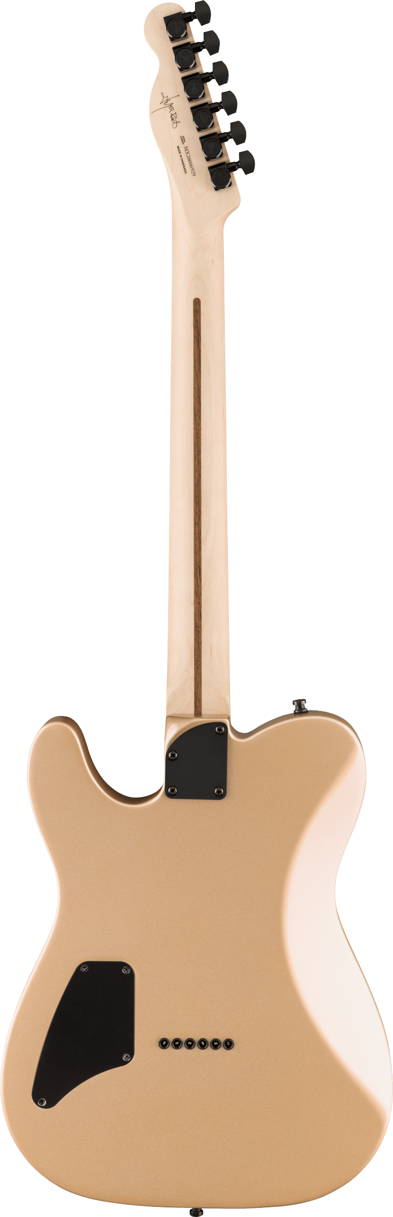 Limited Edition Jim Root Telecaster - Shoreline Gold