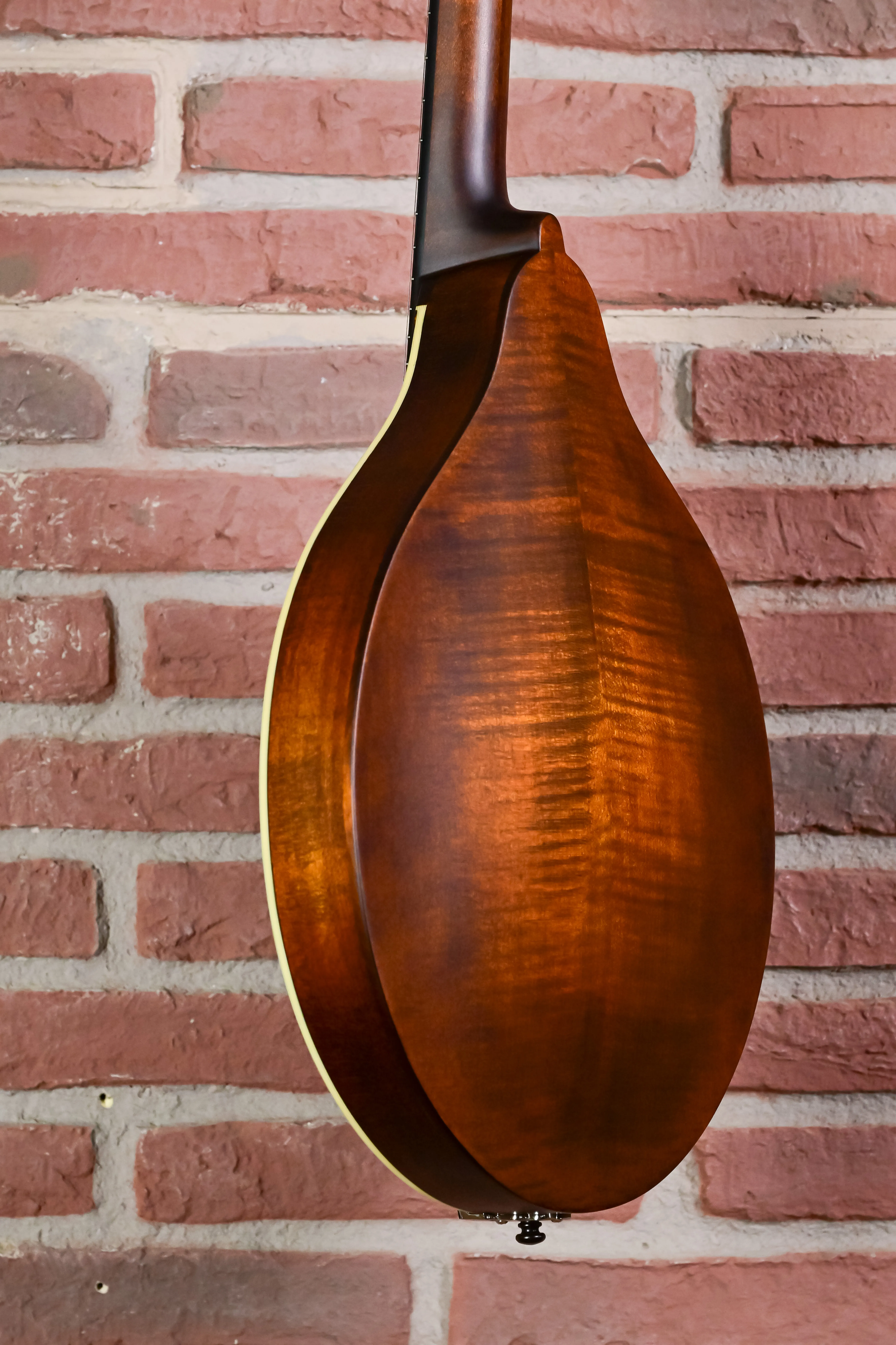 MDO305 Oktav-Mandoline A-Style