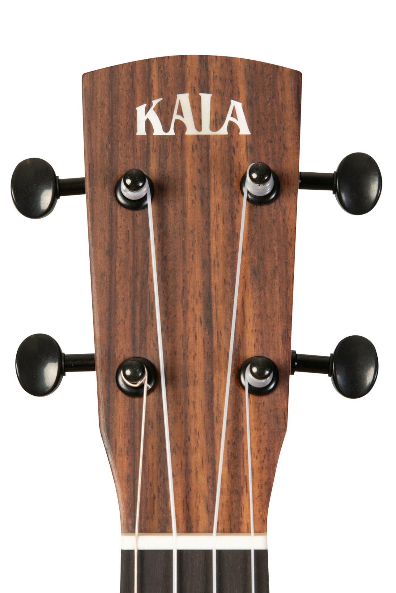 KA-OWL-ACA-TE Tenor Ukulele Revelator Night Owl Acacia