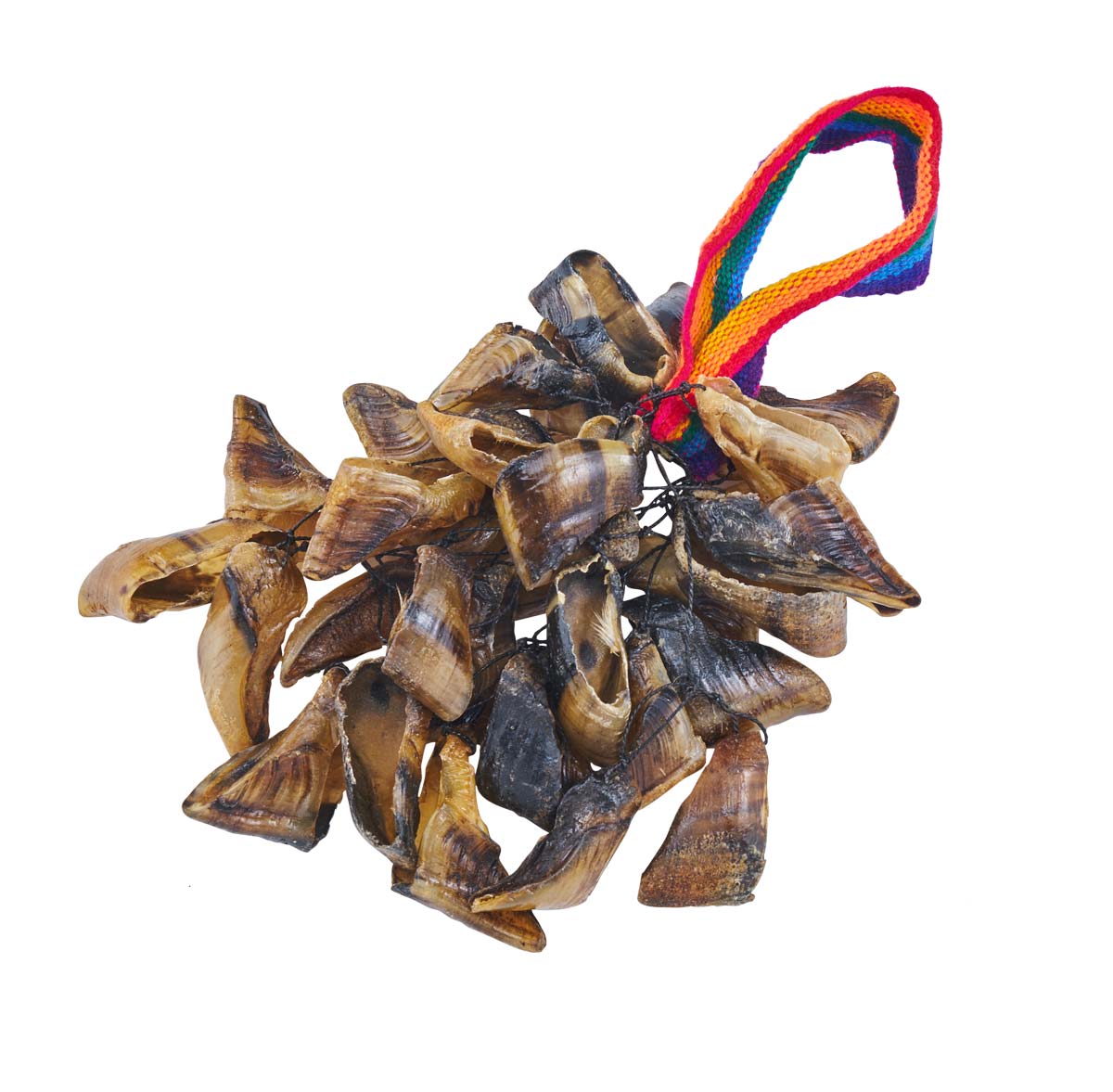 Ziegenhufrassel Shaker