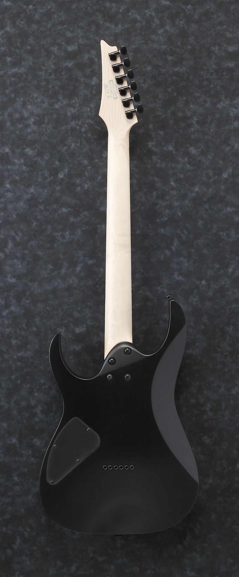 RG421EX-BKF E-Gitarre