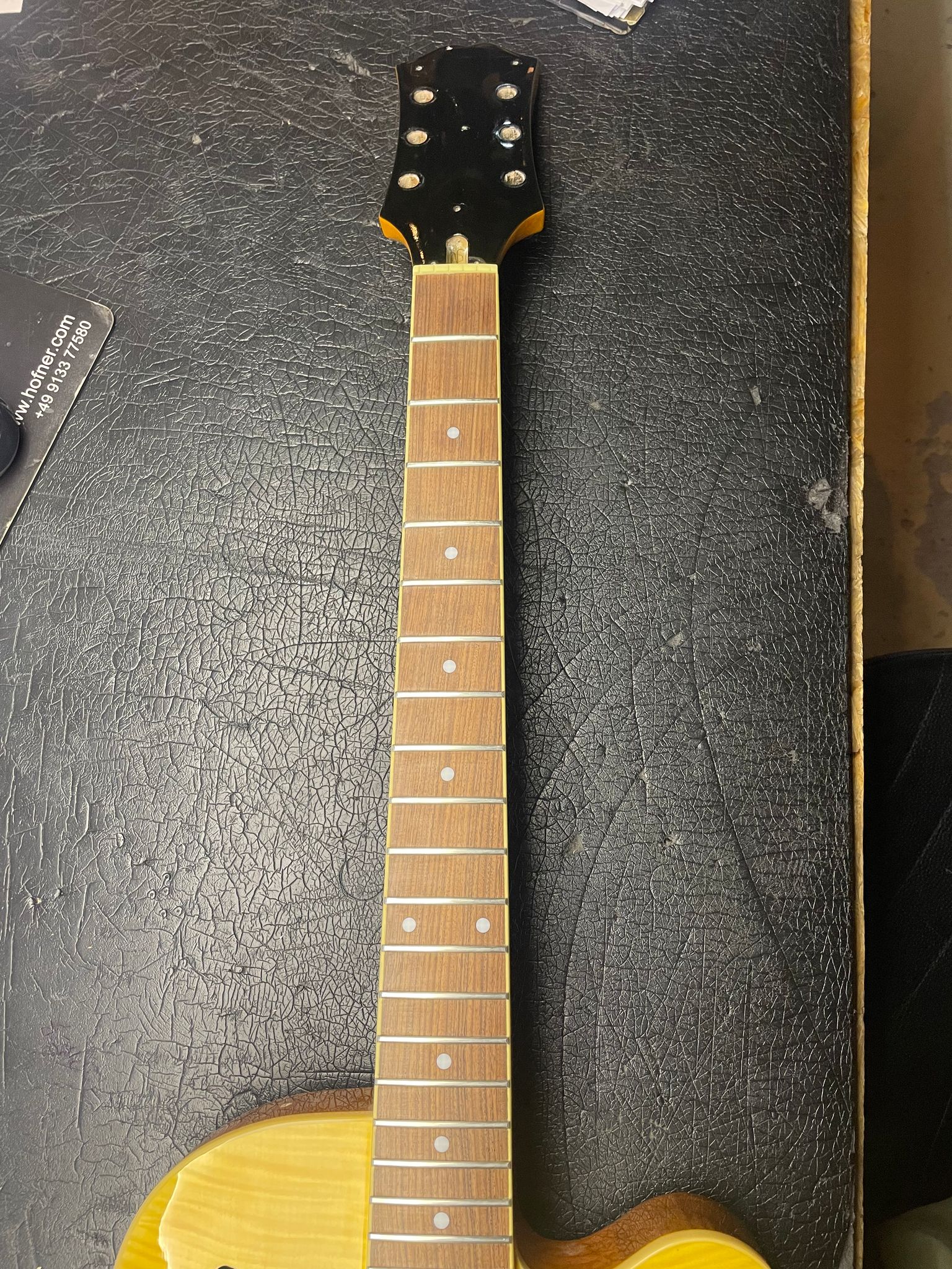 Wildkat Standard AN - Halbresonanz (Body mit Hals)