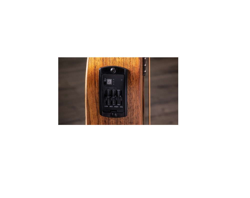 Tuner/Preamp System  ES-B 1.2