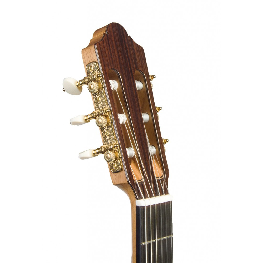 Rosa Lucia Flamencogitarre