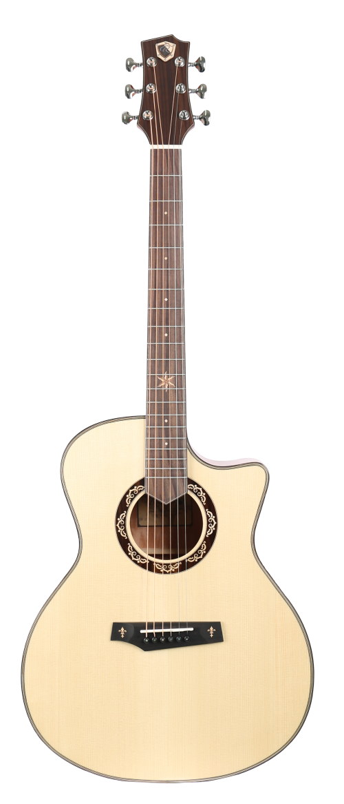 AS-GC+ Pro