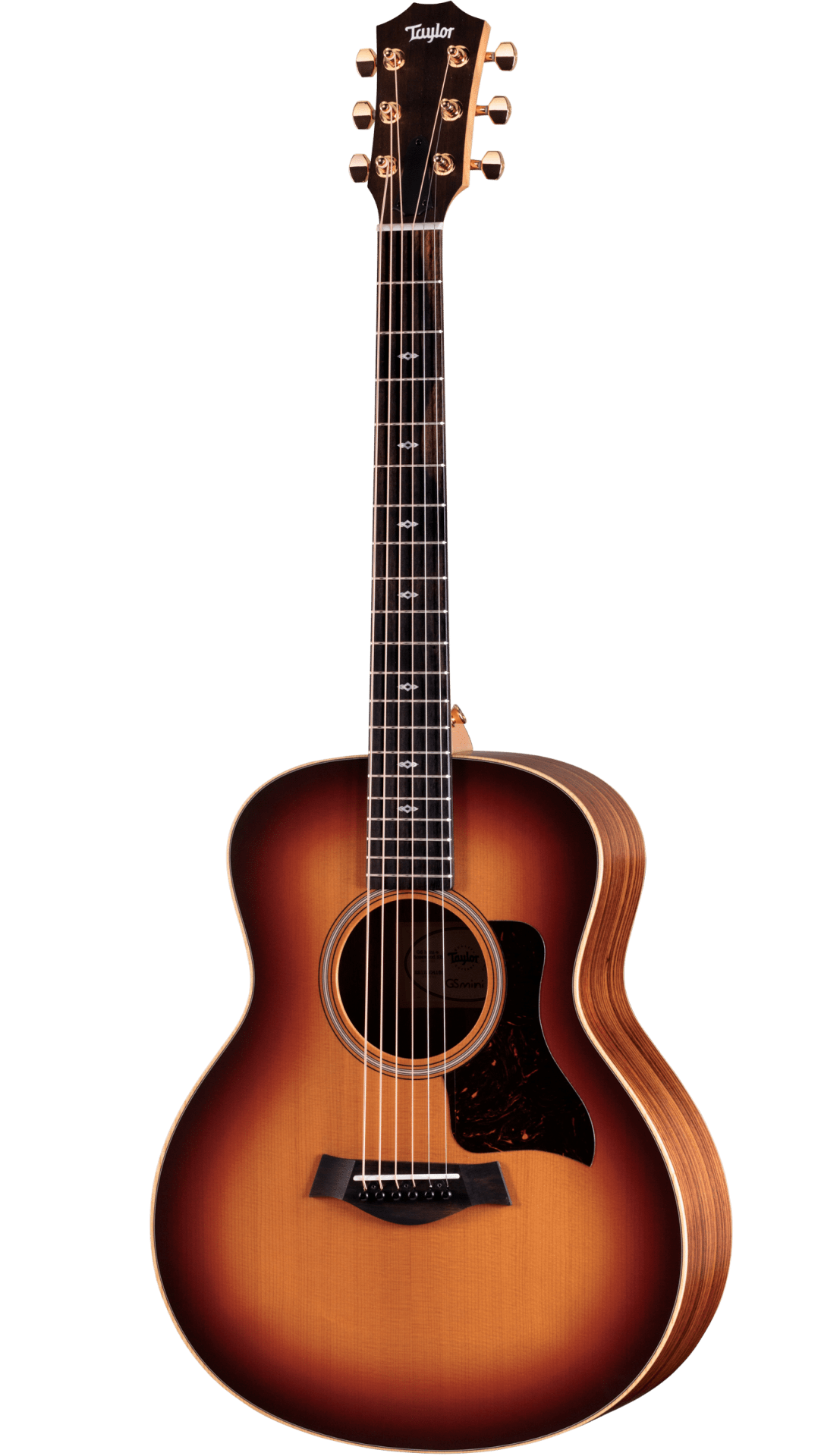 Sunset Boulevard GS Mini-e Rosewood SEB