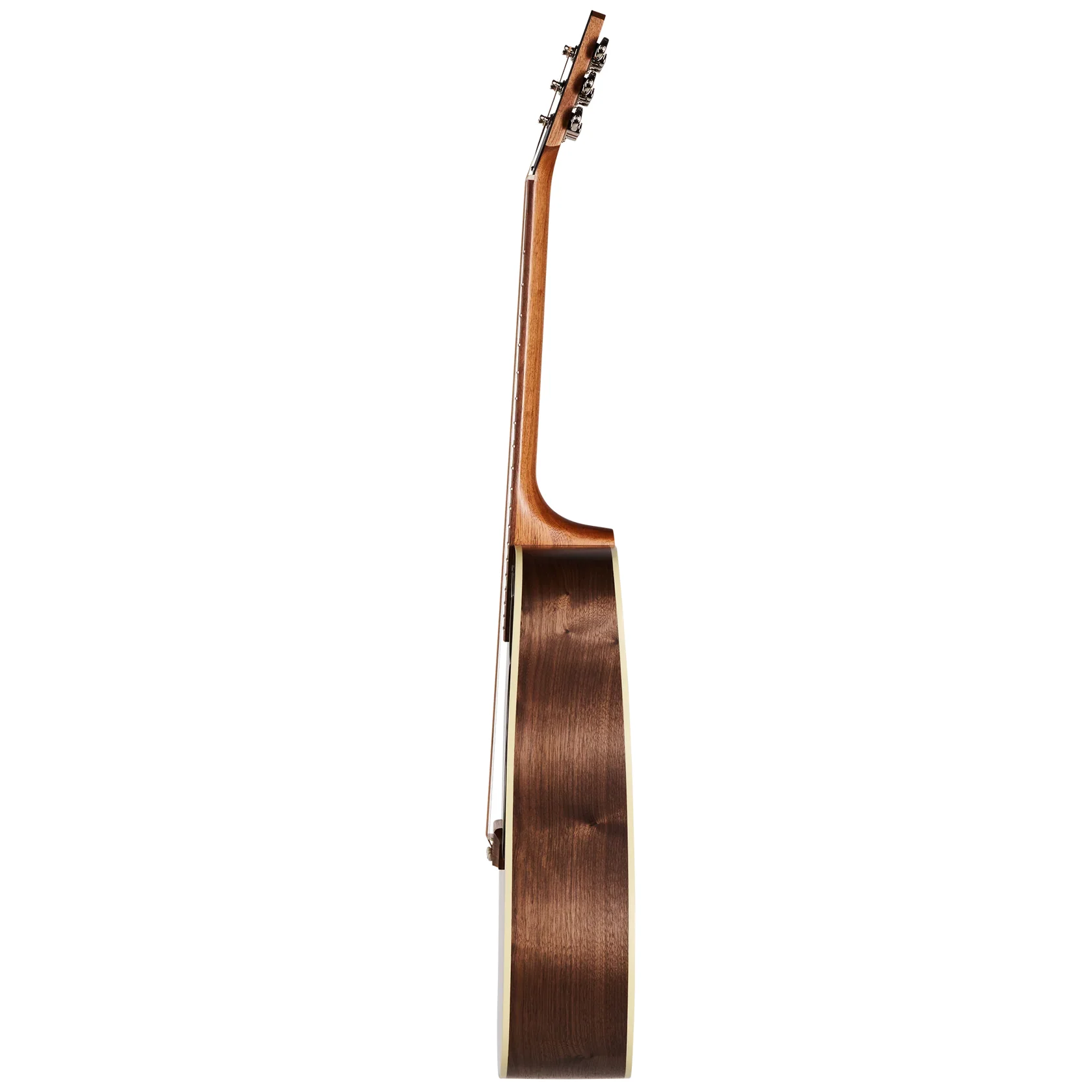Hummingbird Studio Walnut  Burst