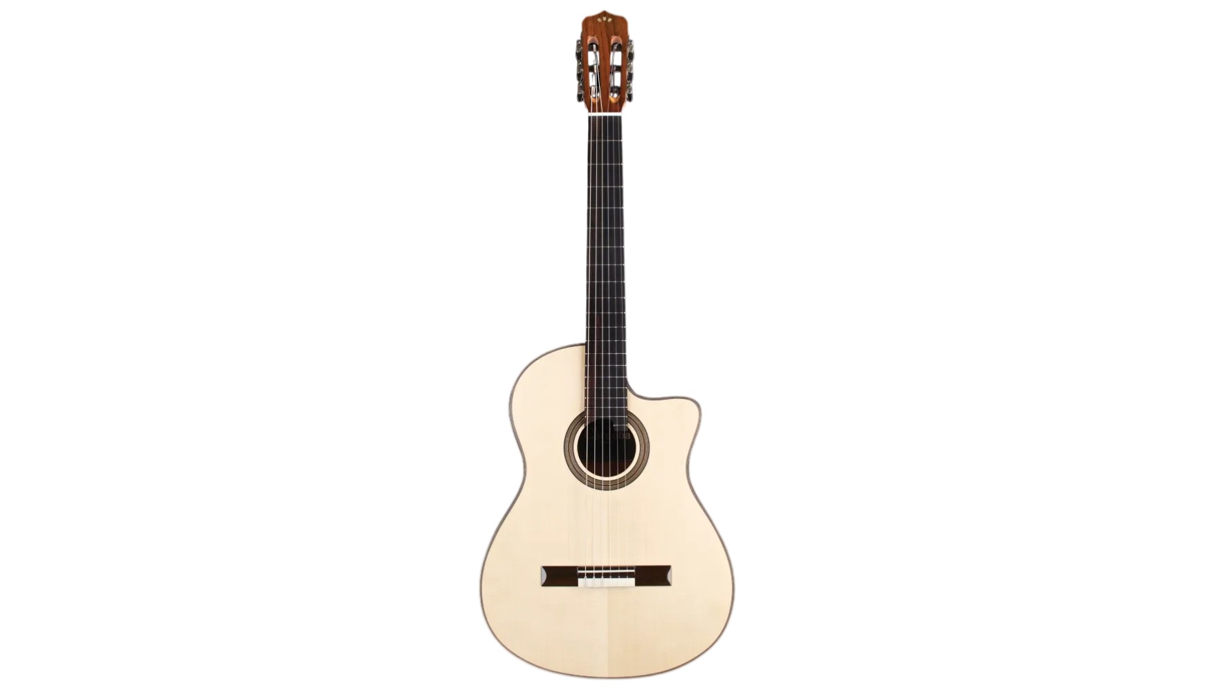 Fusion 12 Maple (Versandrückläufer)