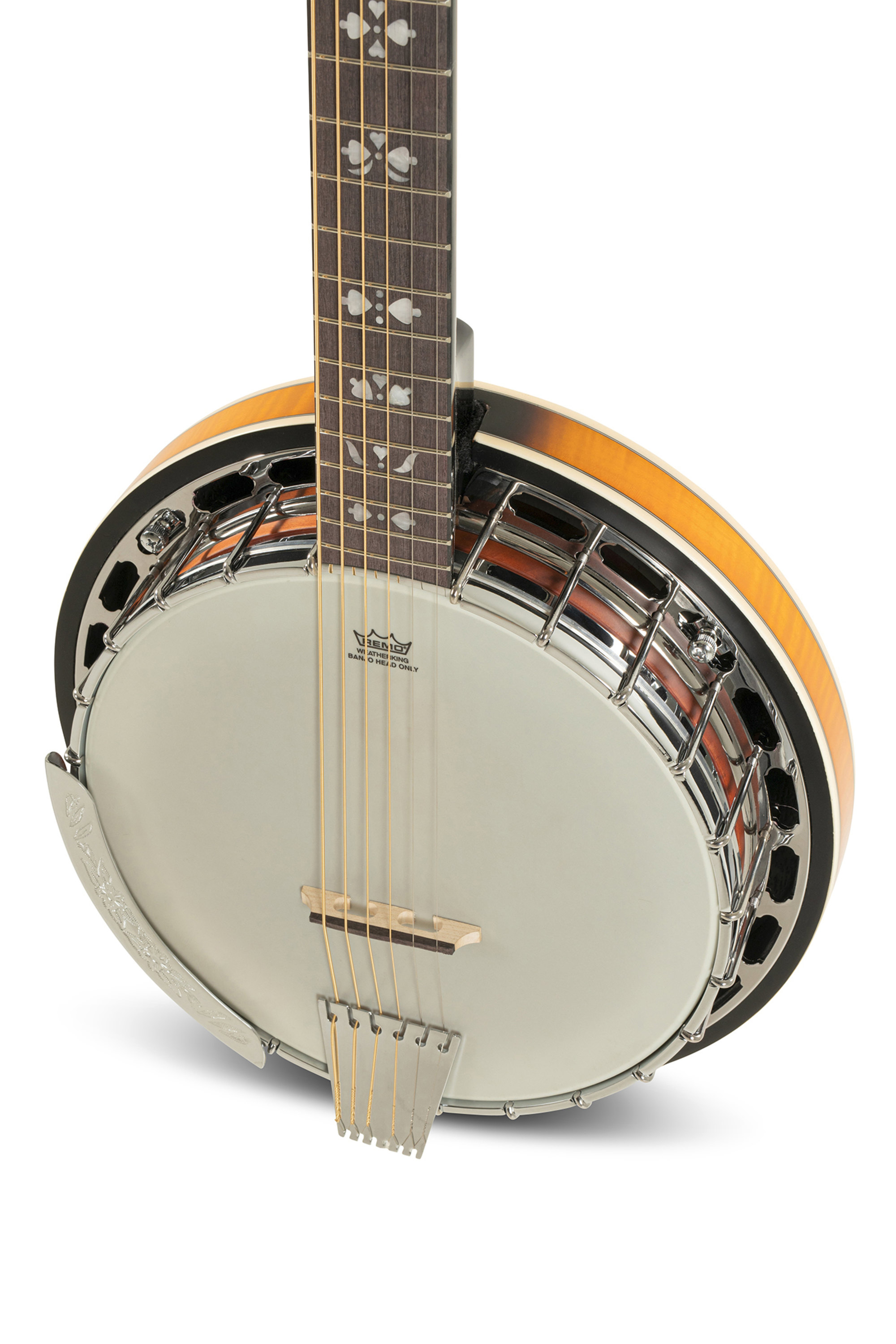VGS Banjo Premium 6-string