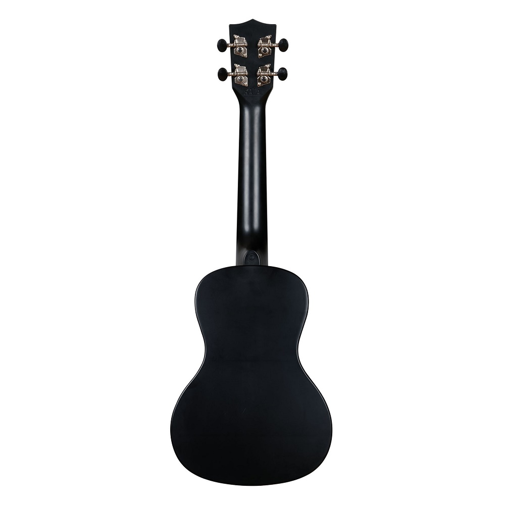 Waterman Recycled Concert Ukulele Black Sand