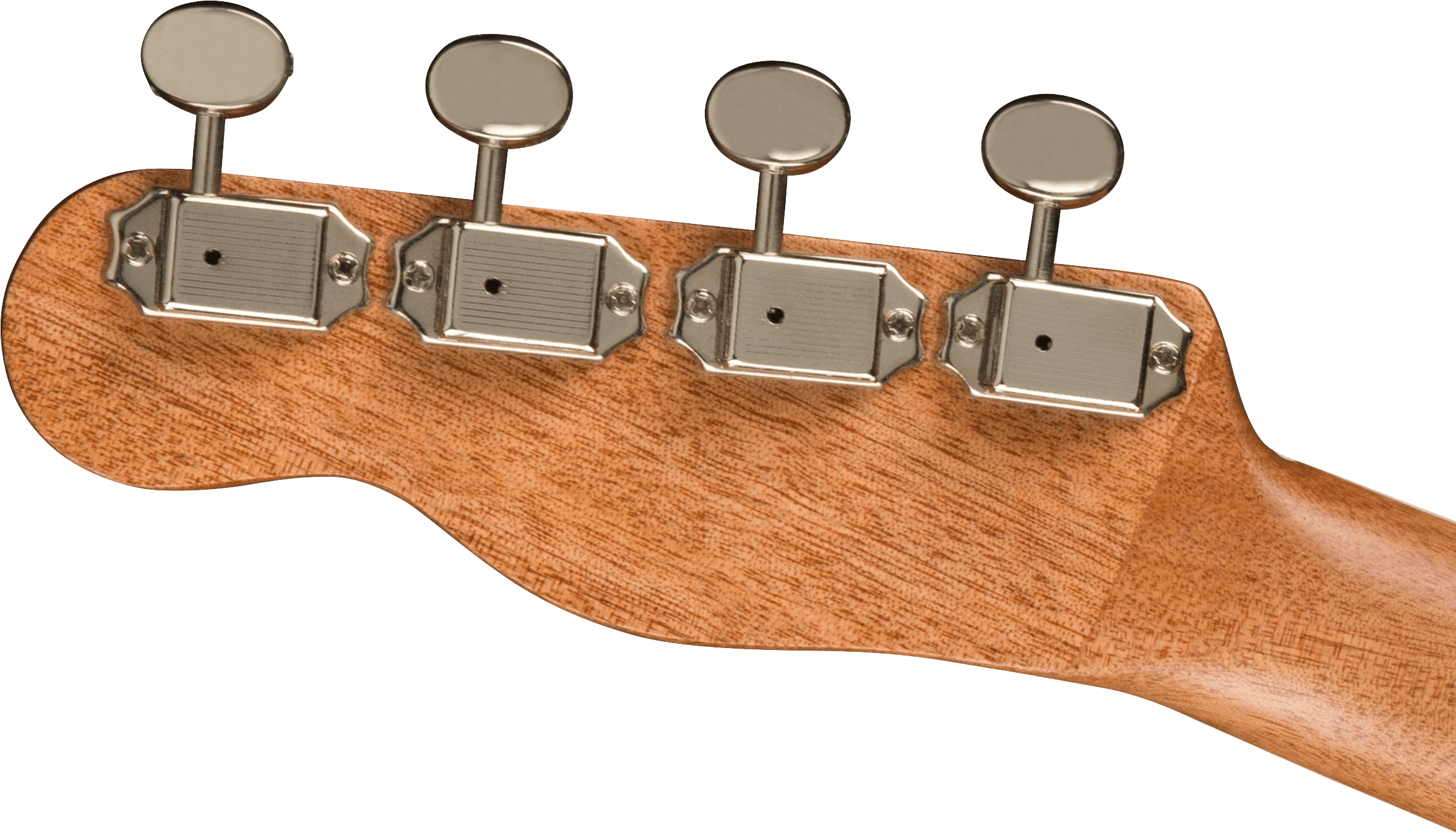Zuma Exotic Concert Ukulele, Walnut Fingerboard, Bocote