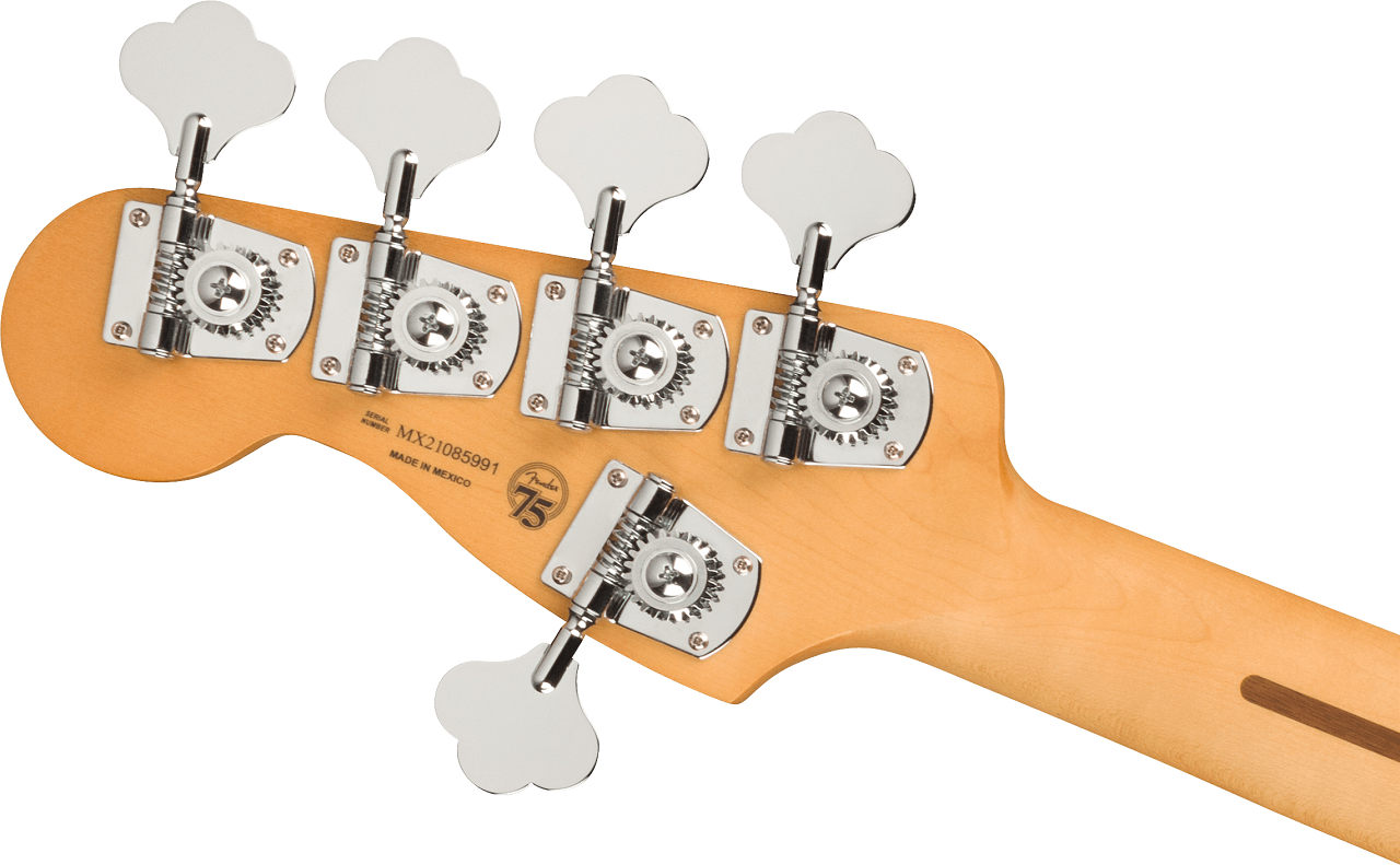 Player Plus Jazz Bass® V, Pau Ferro Fingerboard, 3-Tone Sunburst