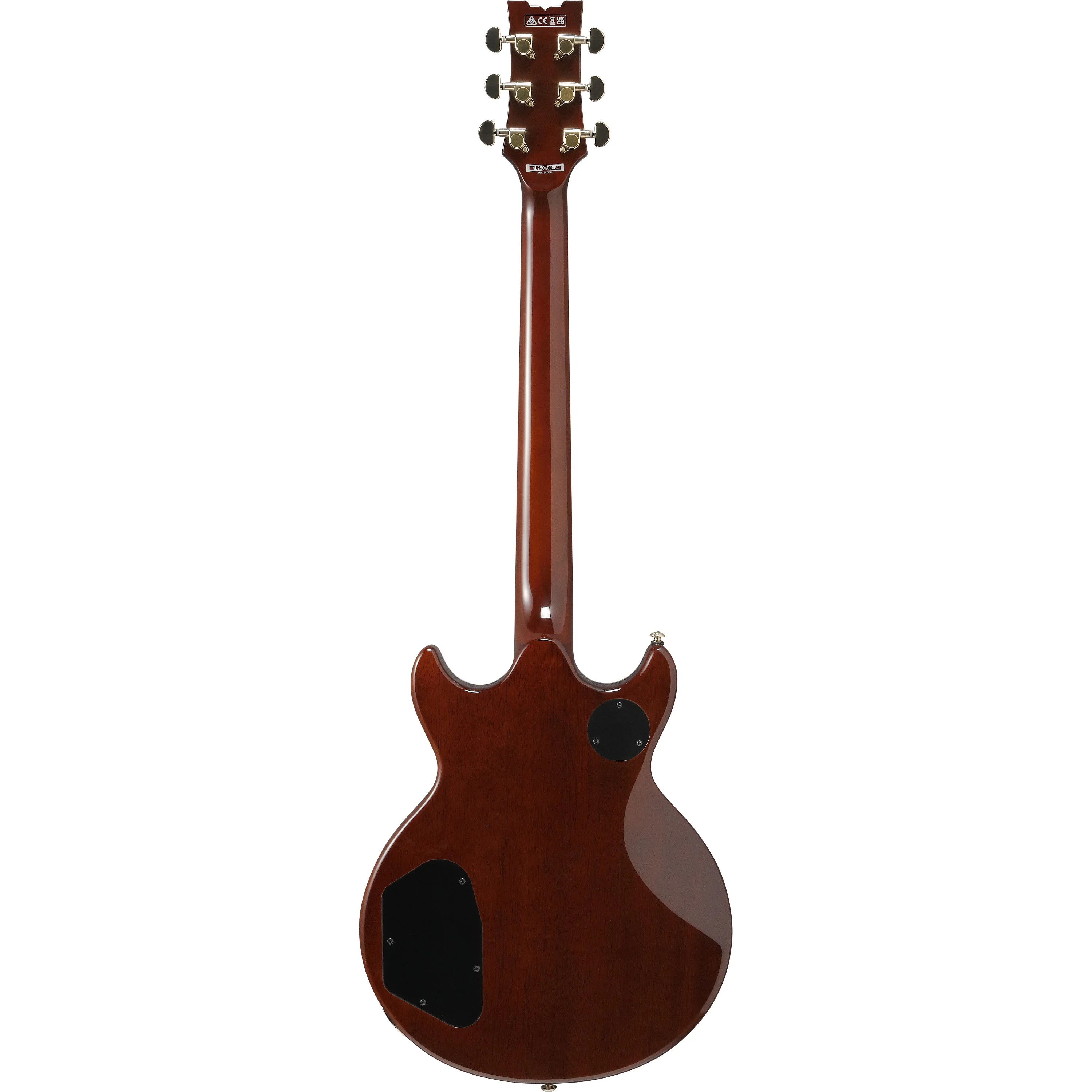 AR320-MBM E-Gitarre