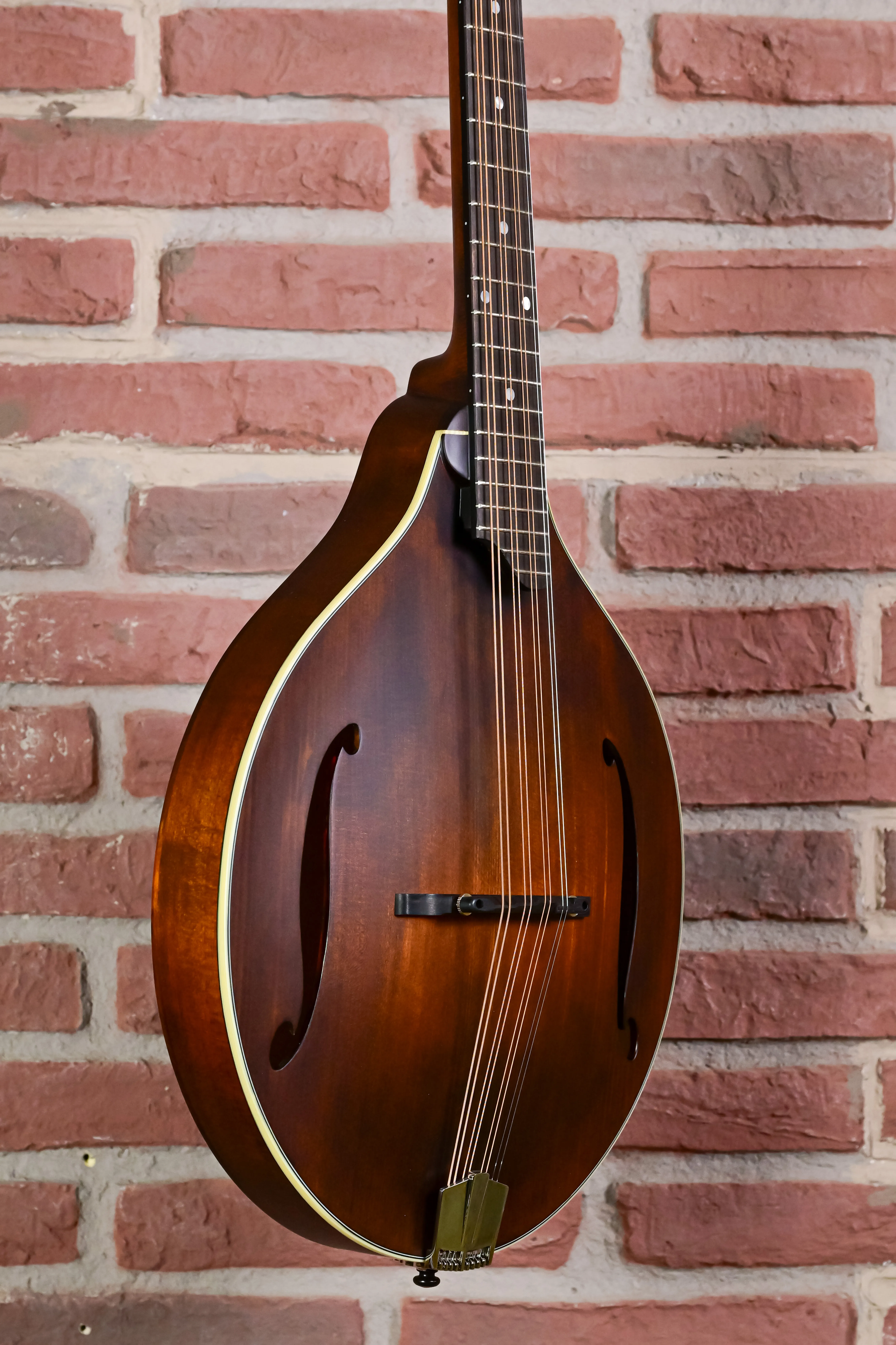 MDO305 Oktav-Mandoline A-Style