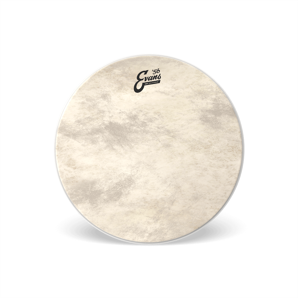 20" EQ4 Calftone - Bass Drum Fell