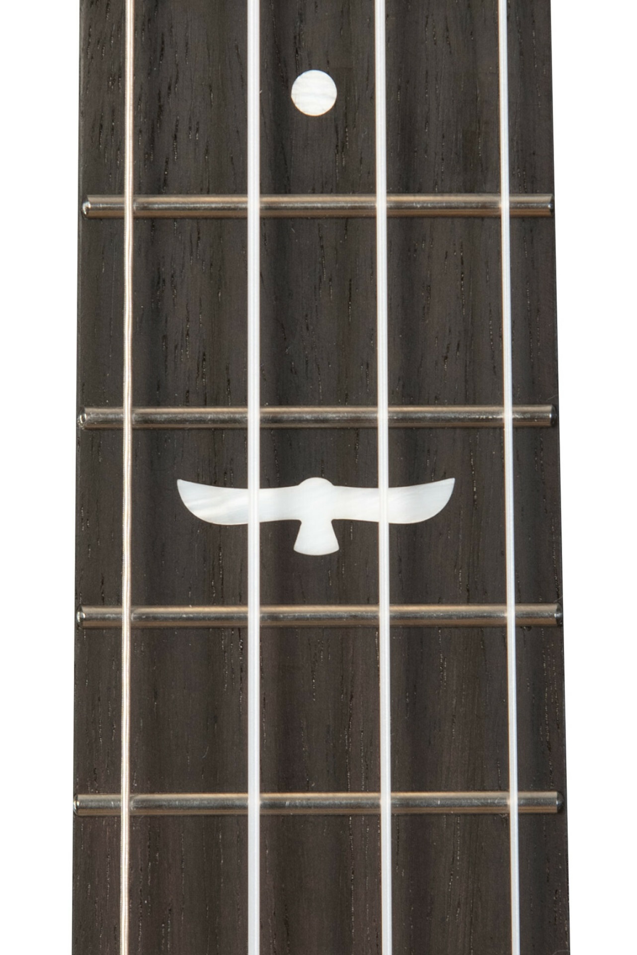 KA-OWL-MNG-TE Tenor Ukulele Revelator Night Owl Mango