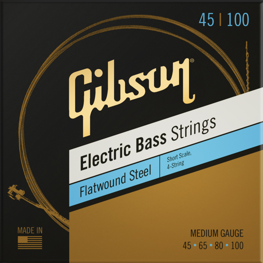 Flatwound Steel Strings Medium Short Scale 045-100