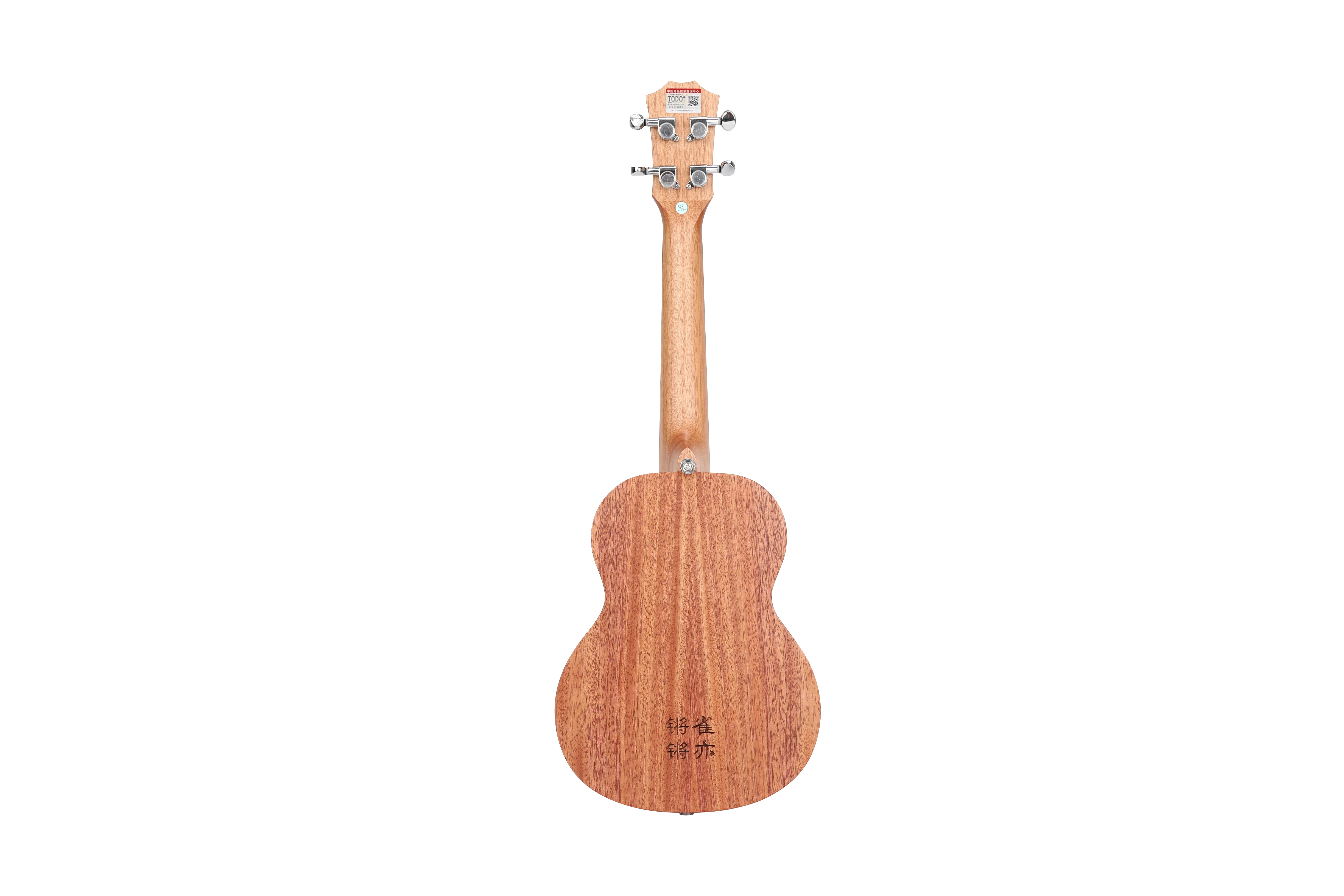 Ukulele Concer Children of the Stars